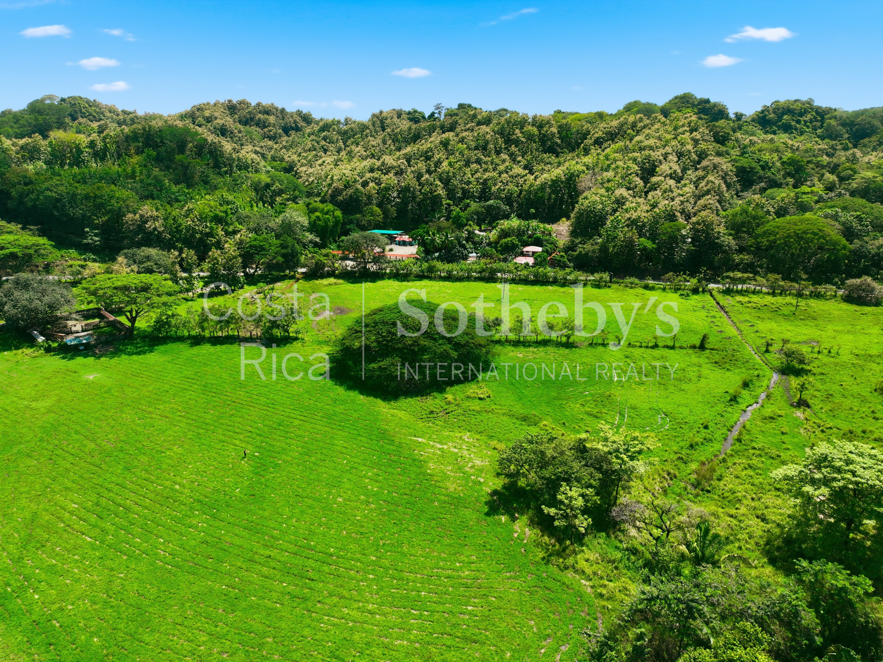 Nosara | Playa Garza