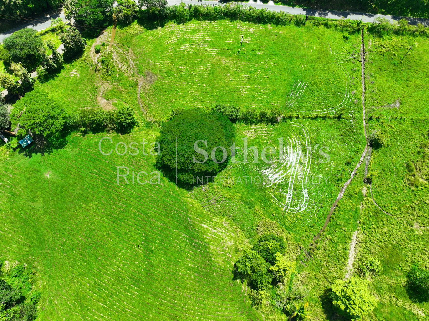 Nosara | Playa Garza