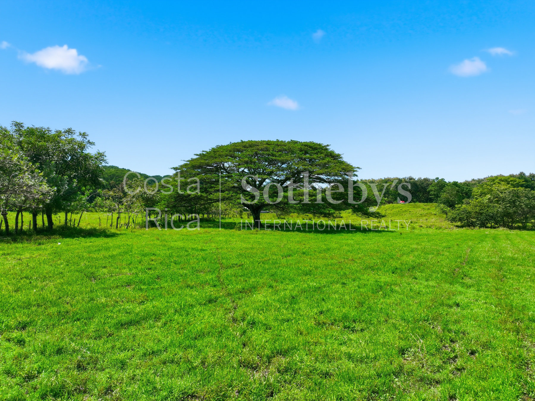 Nosara | Playa Garza
