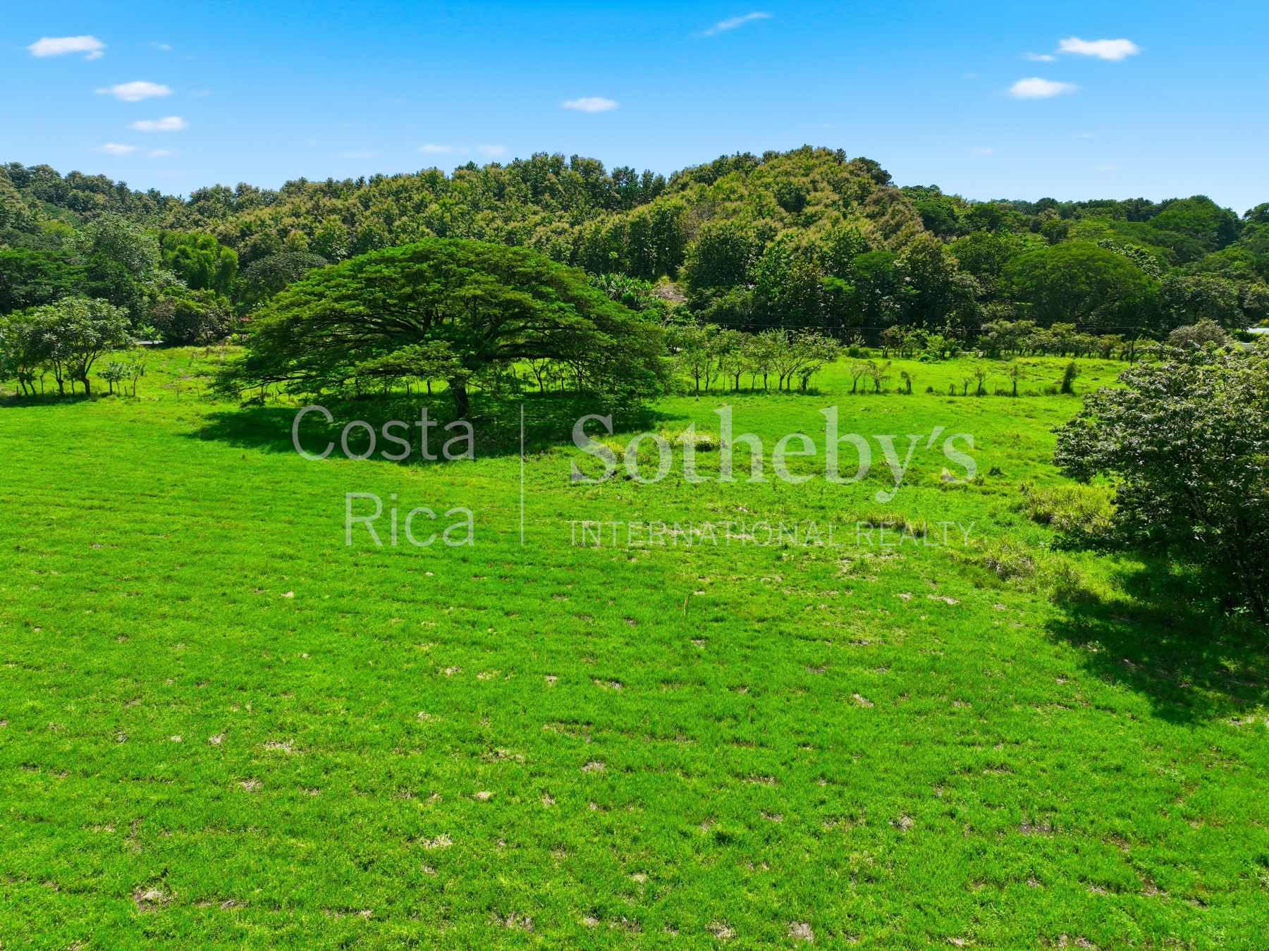 Nosara | Playa Garza