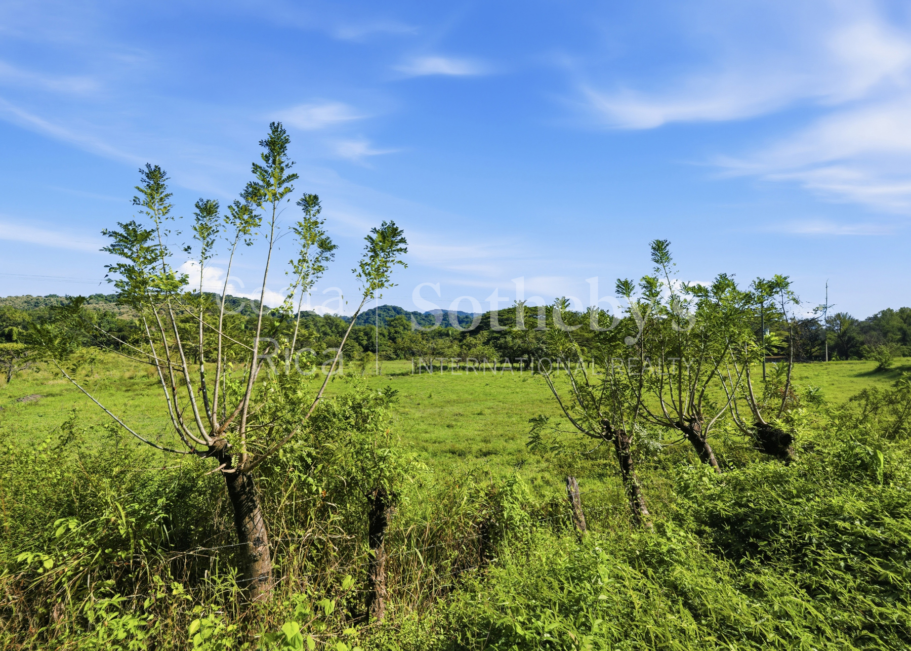 Nosara | Playa Garza