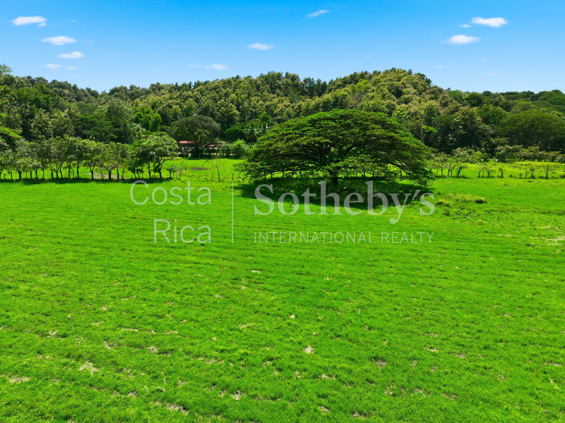 Nosara | Playa Garza