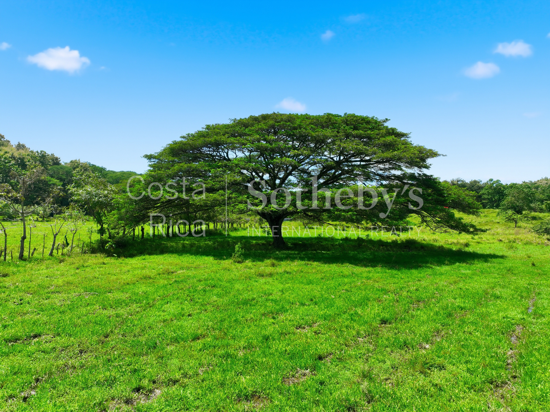 Nosara | Playa Garza