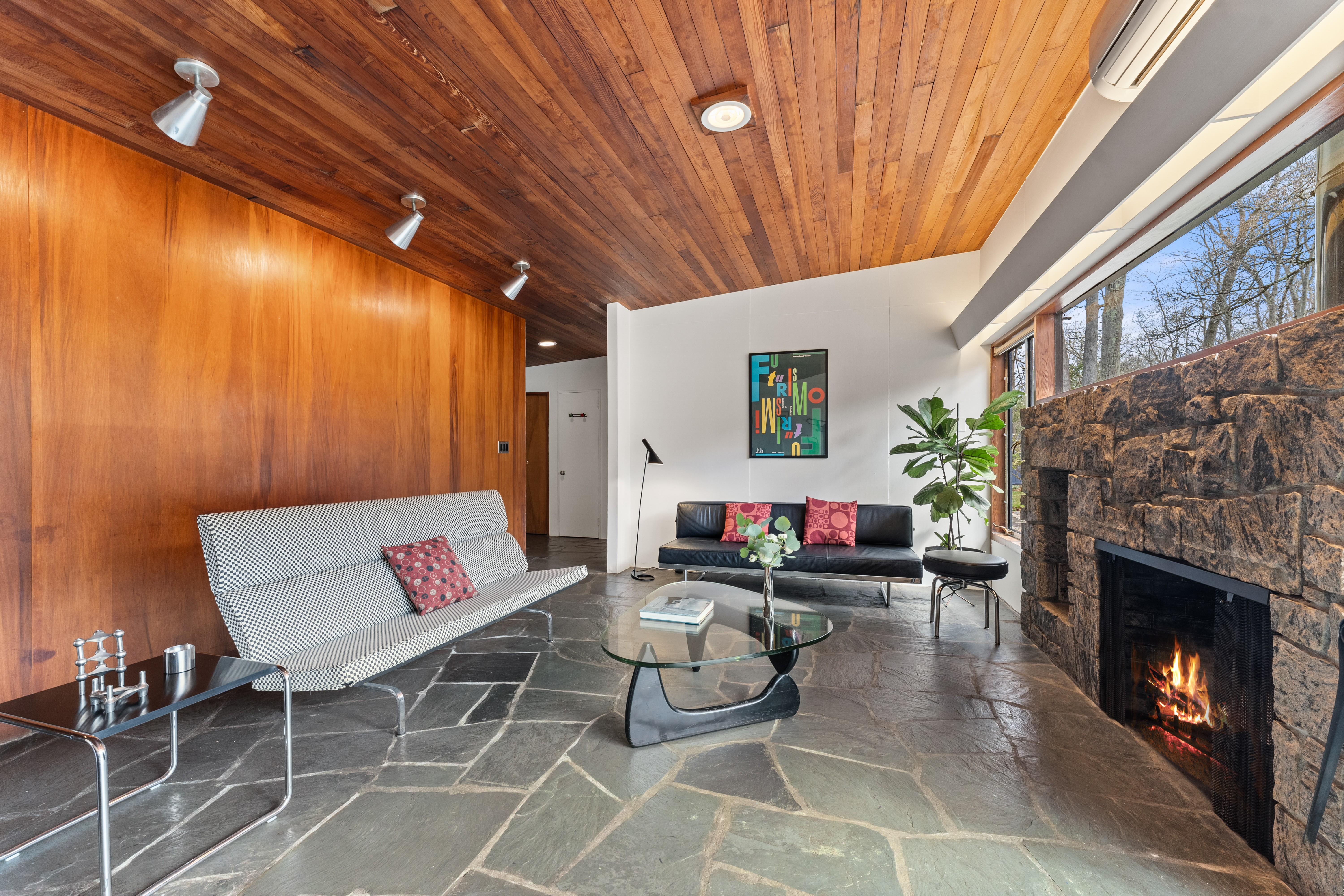204 Cleveland Drive