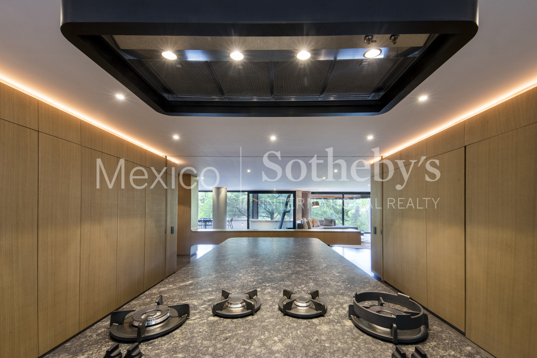 Rivera de Cupia Lomas de Chapultepec