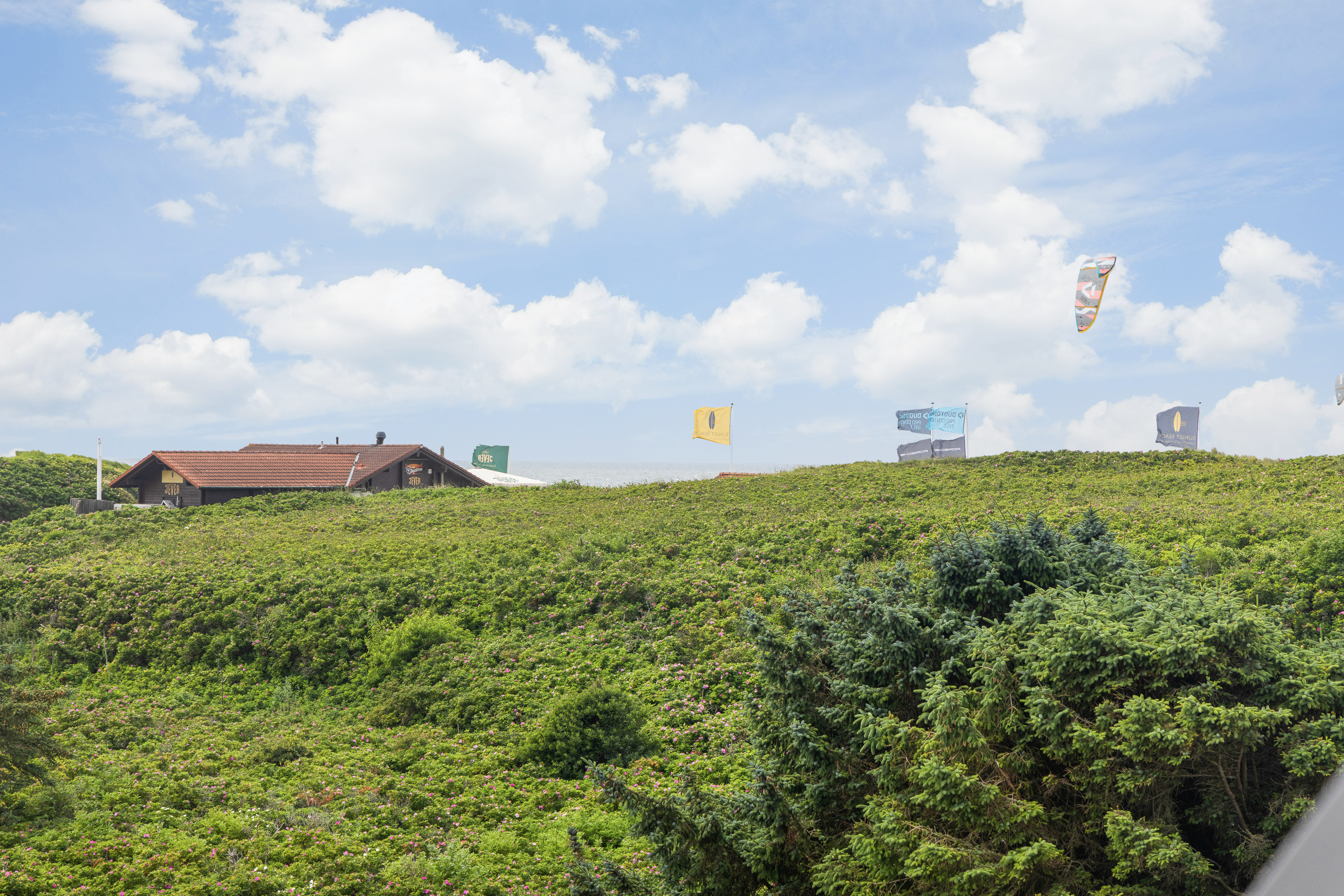 Sylt