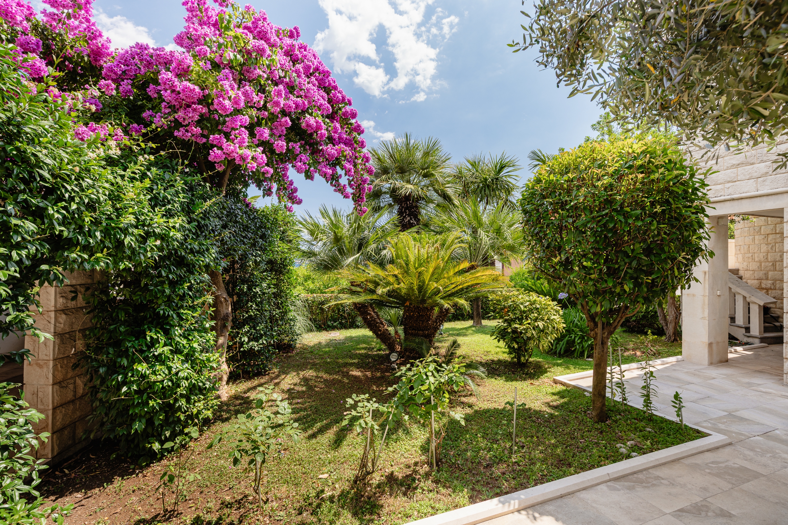 Herceg Novi Savina