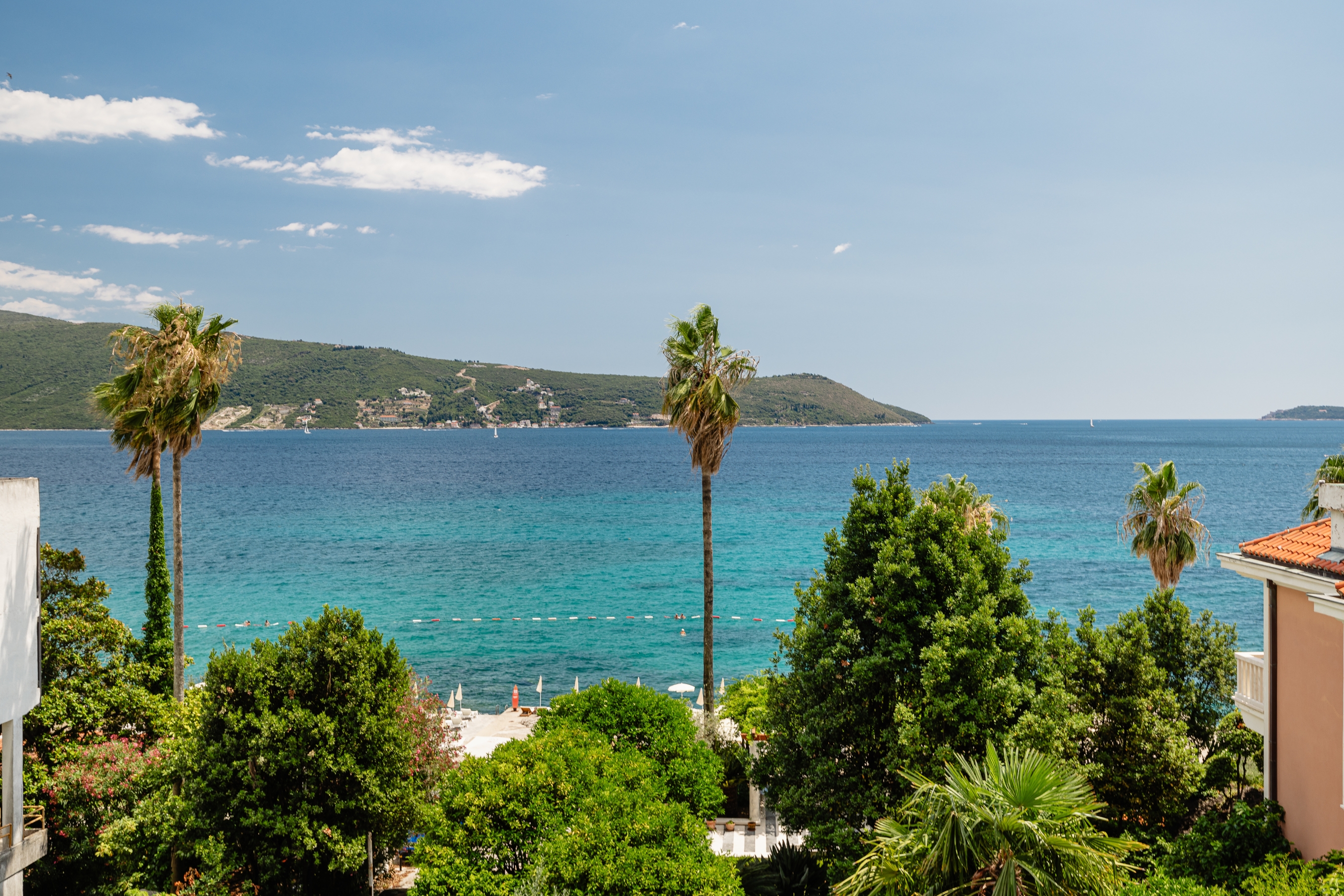 Herceg Novi Savina