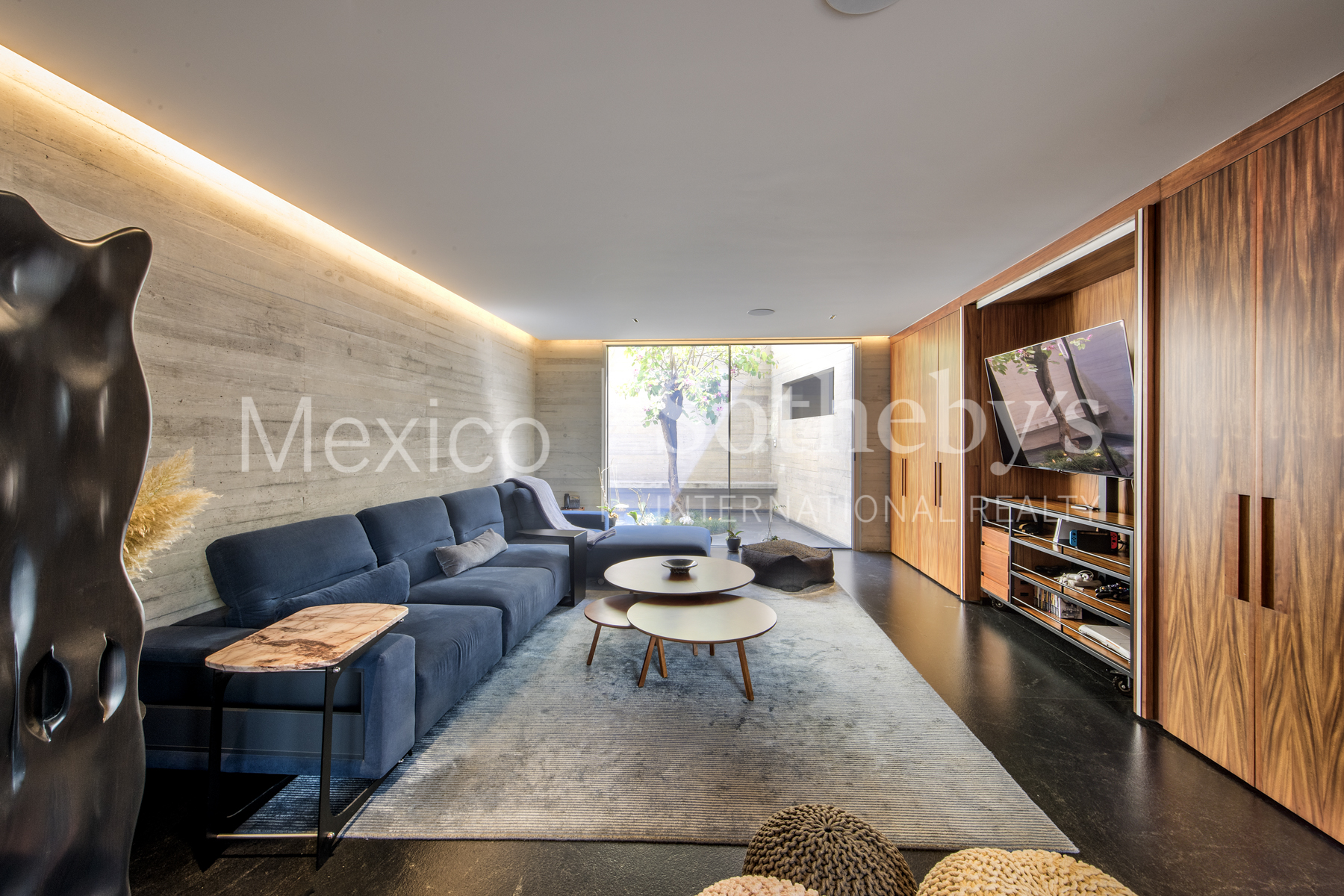 Bosques de la Lomas Bosque de Olmos