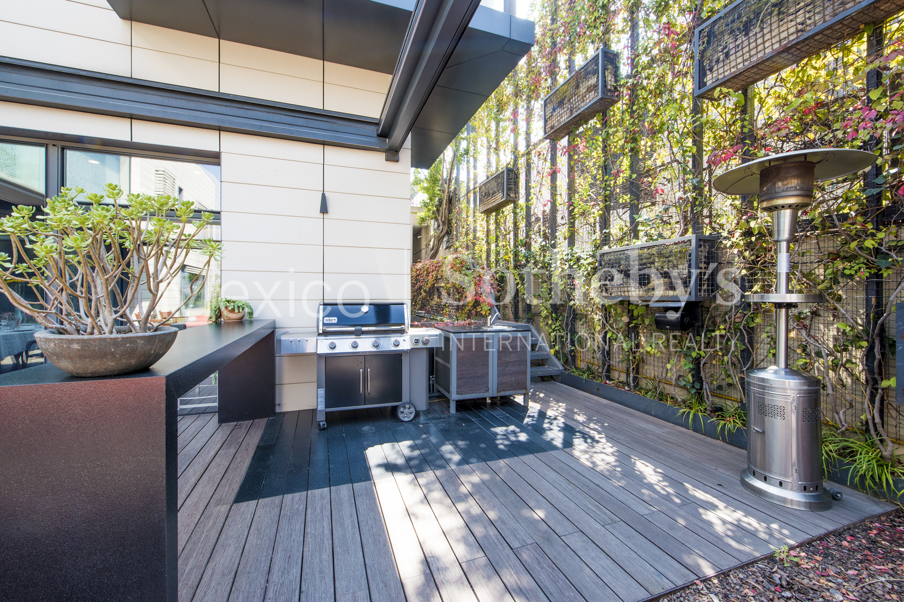 Bosques de la Lomas Bosque de Olmos