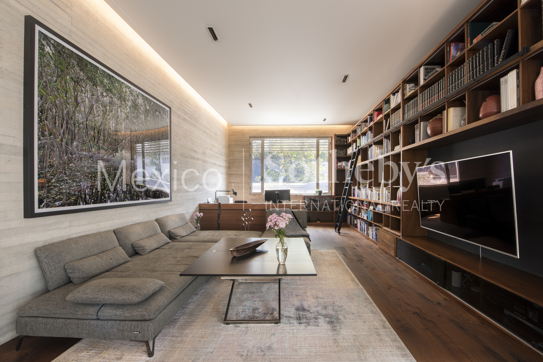 Bosques de la Lomas Bosque de Olmos