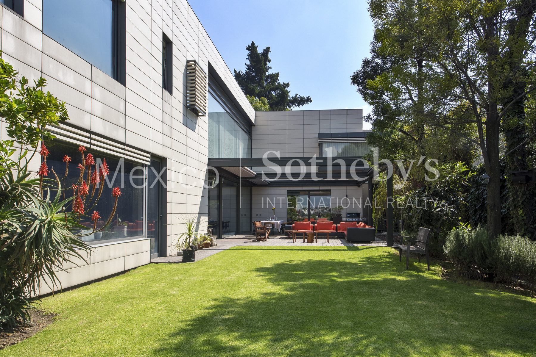 Bosques de la Lomas Bosque de Olmos