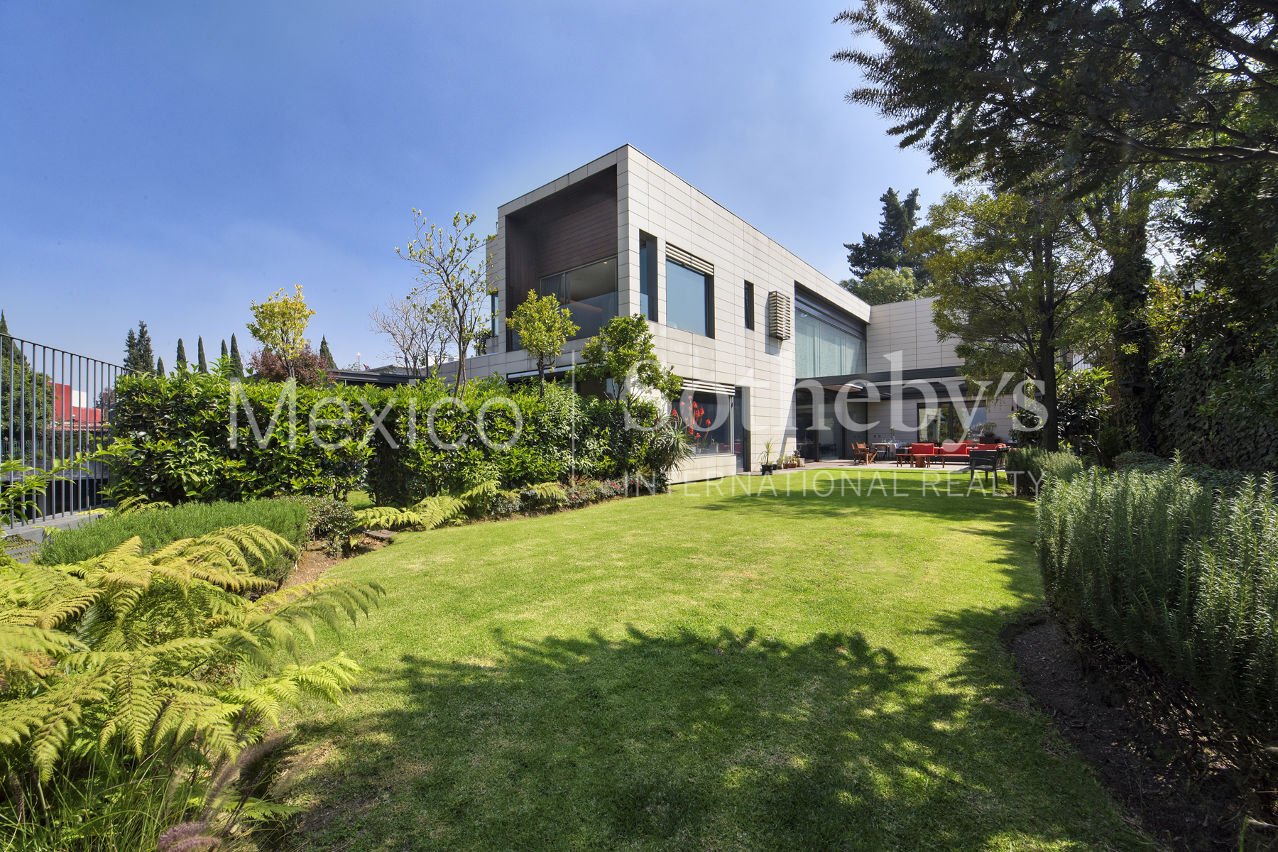 Bosques de la Lomas Bosque de Olmos