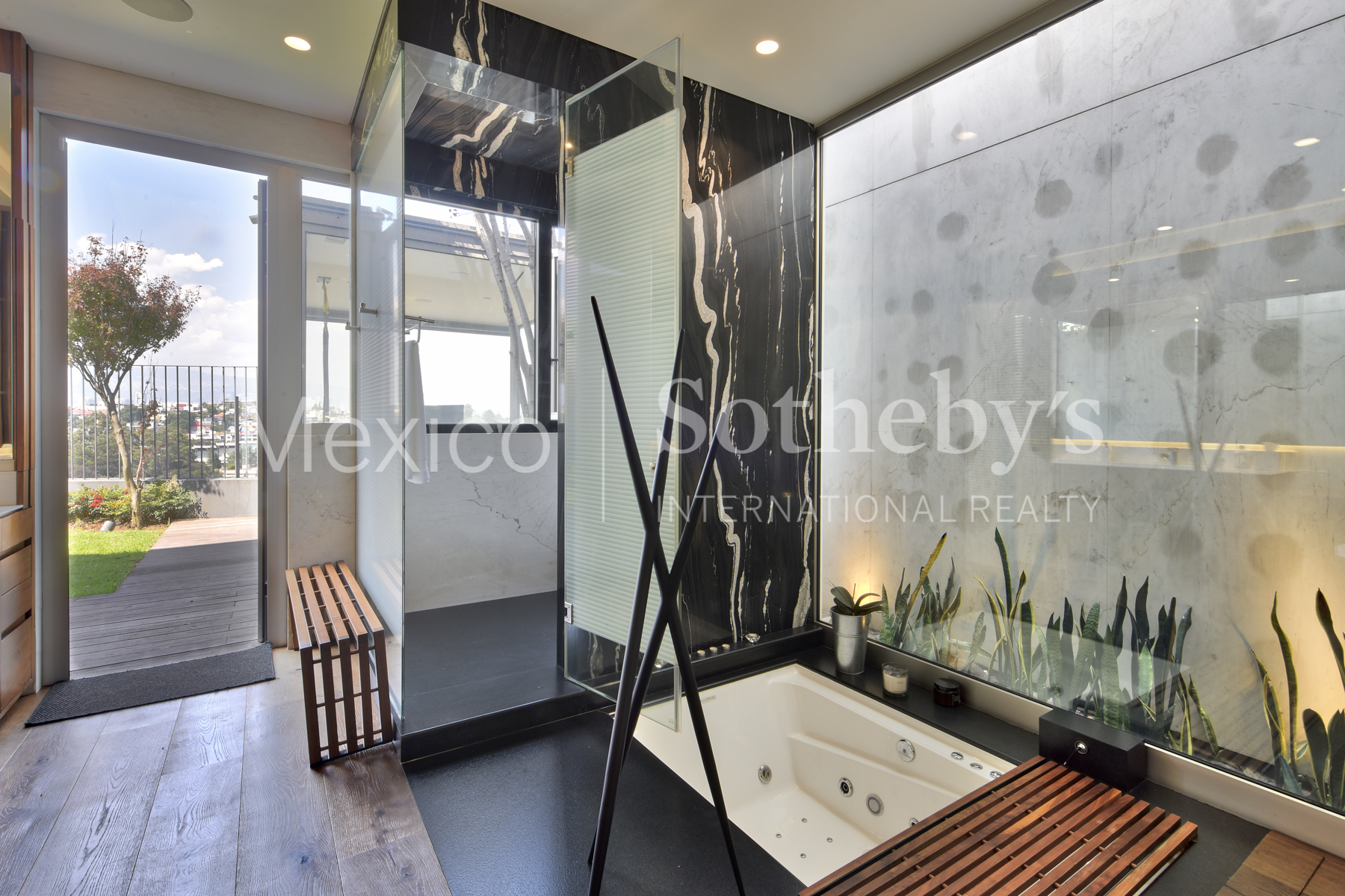 Bosques de la Lomas Bosque de Olmos