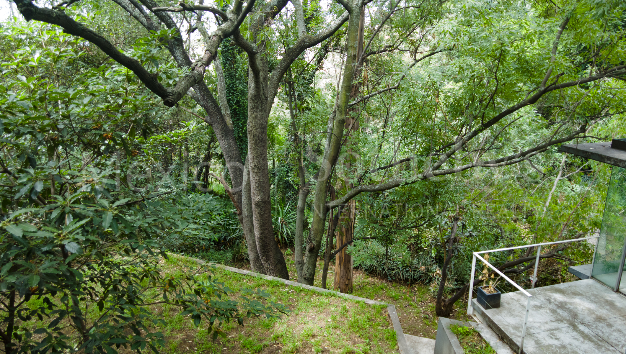 Parque Vía Reforma Lomas de Chapultepec