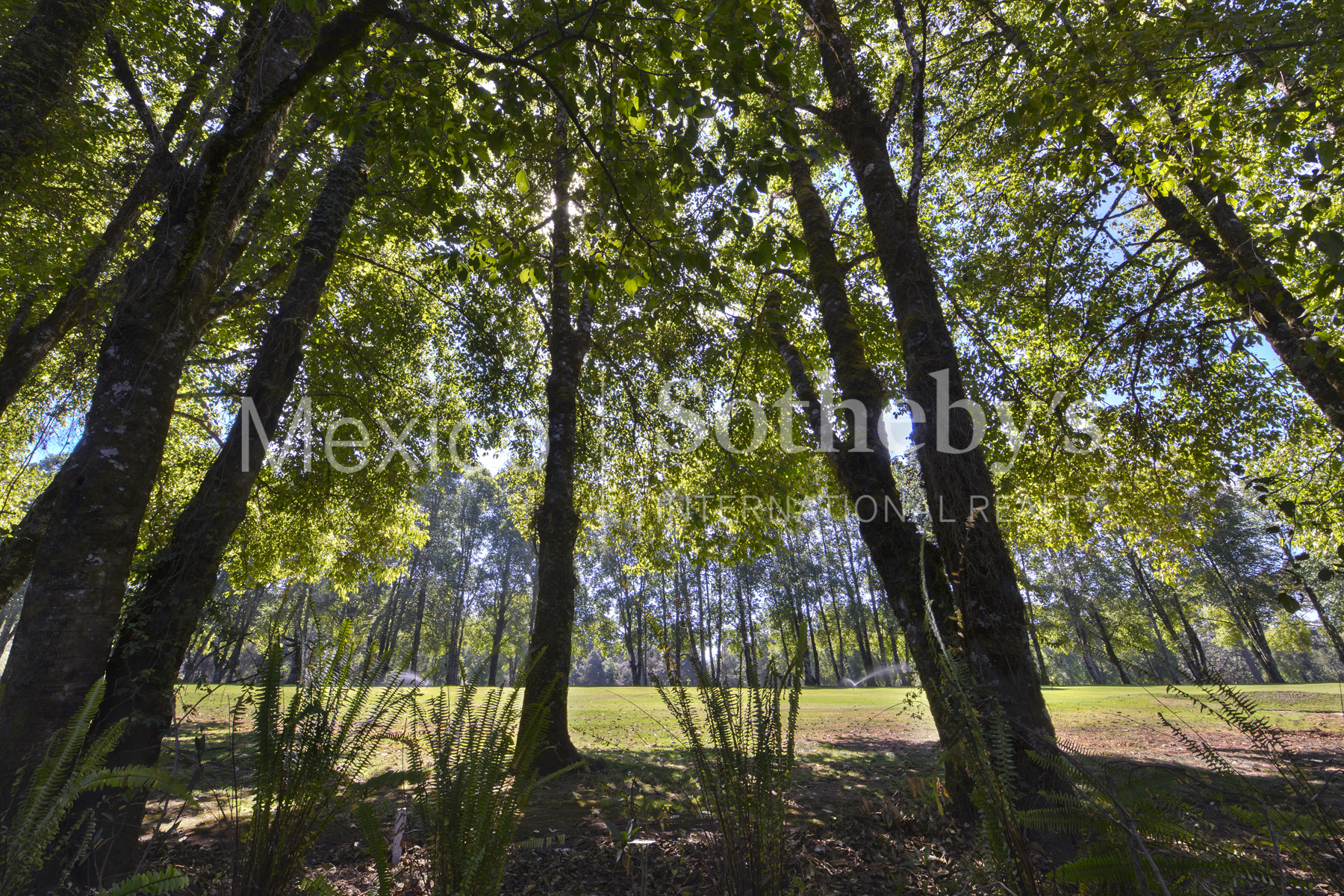 Avenida Arete 137 Rancho Avandaro 