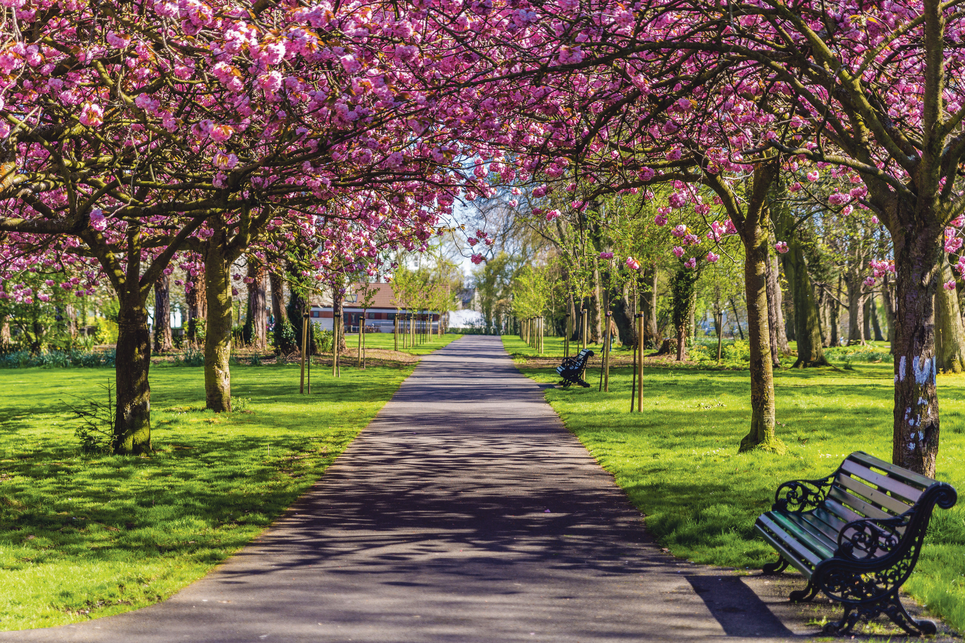 Melfort, 19 Shrewsbury Road