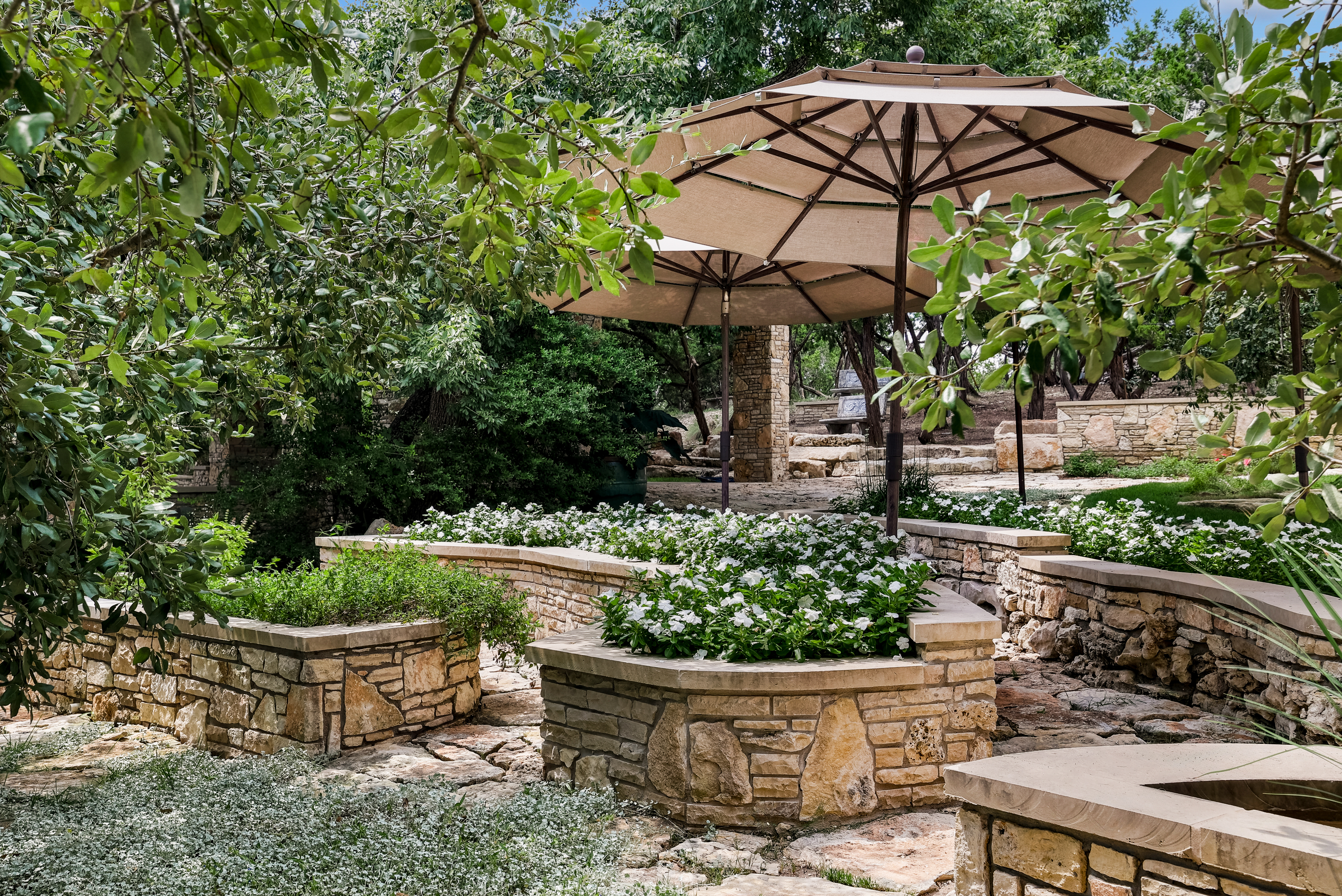 9102 North Madrone Trail 