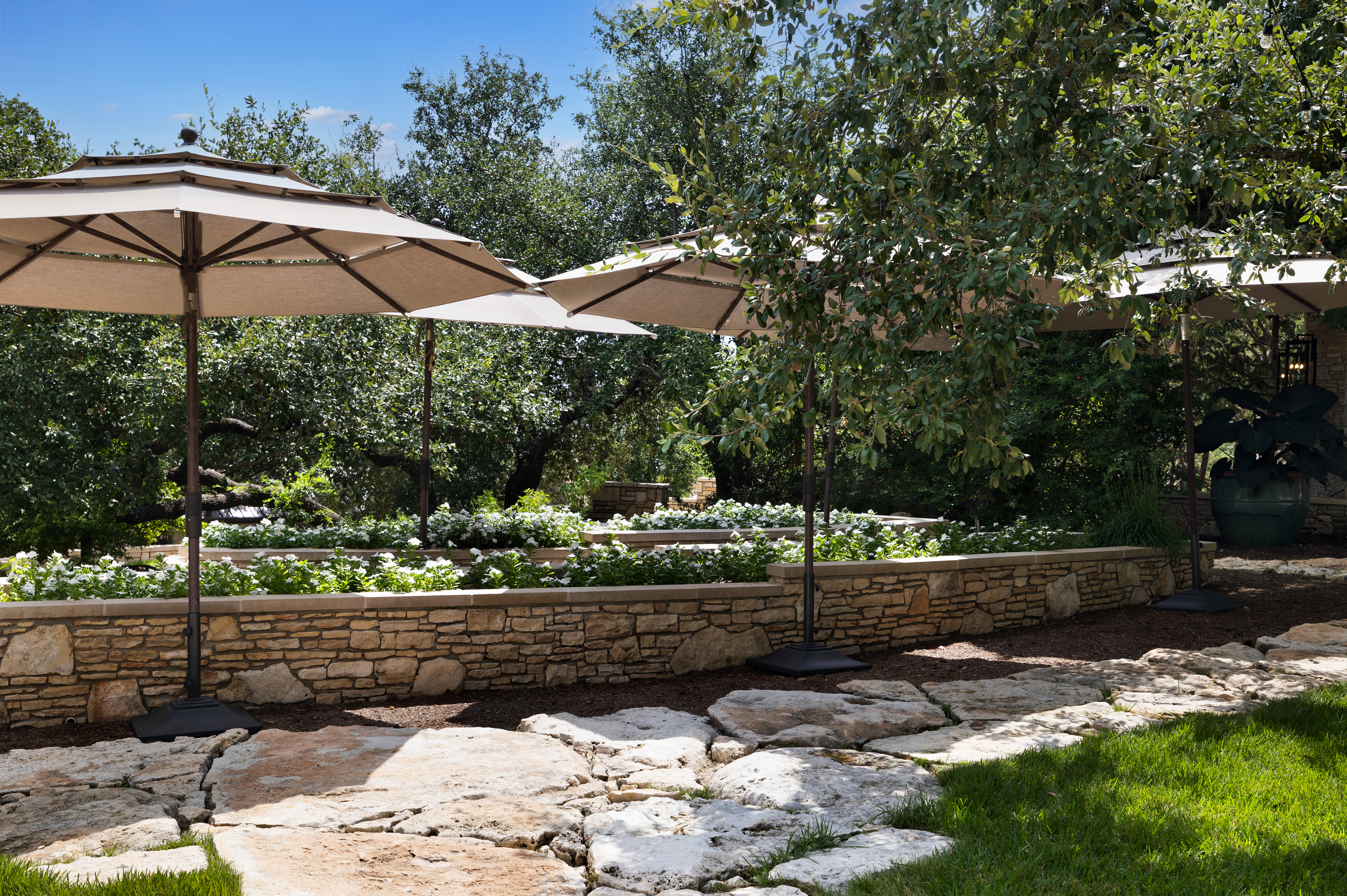 9102 North Madrone Trail 