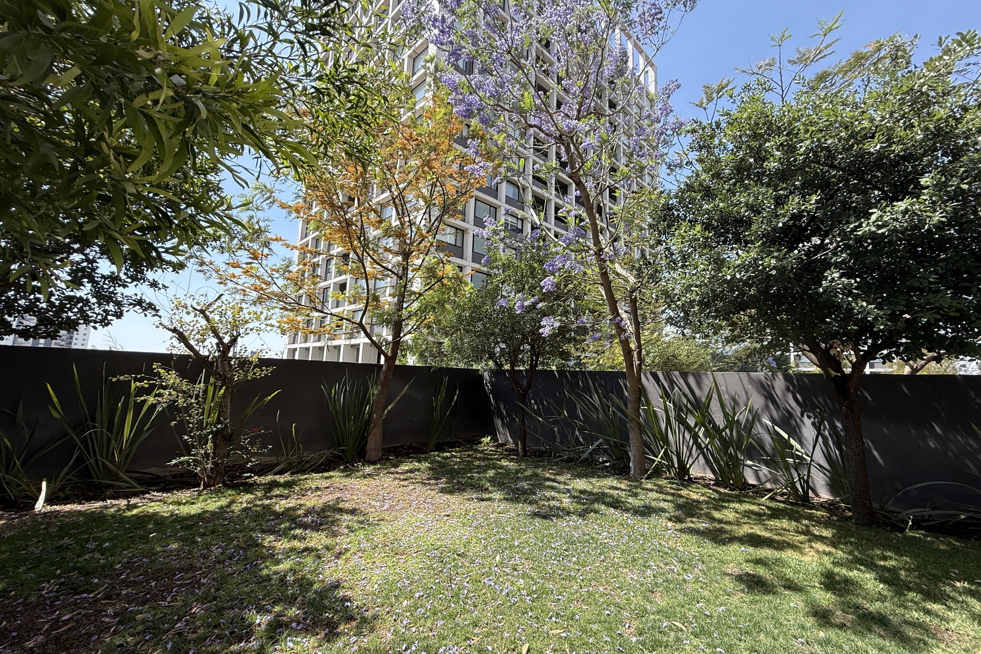ALEGRA PENT GARDEN B