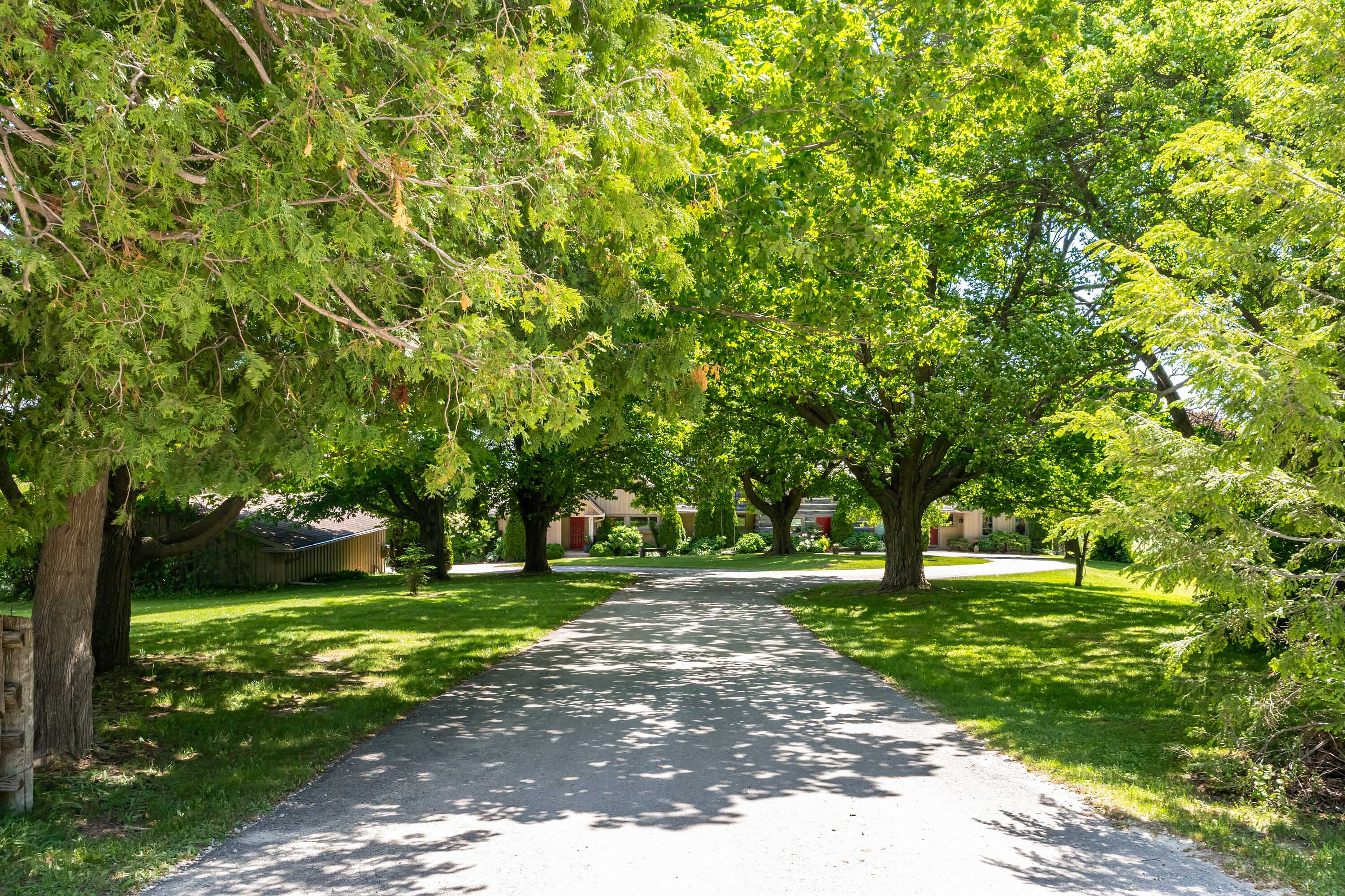 995611 Mono-Adjala Townline, Rosemont