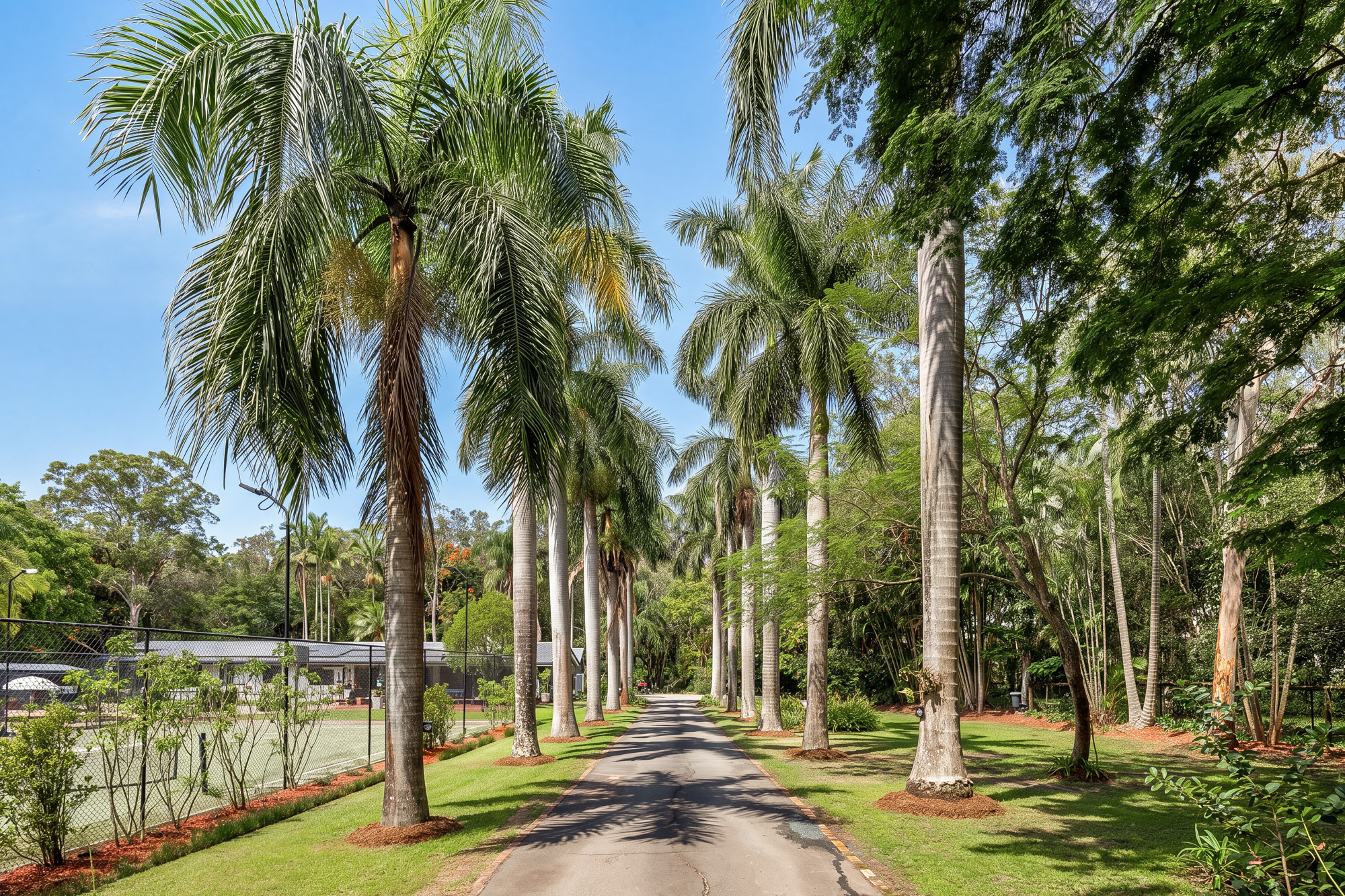 553 Grassdale Road Gumdale