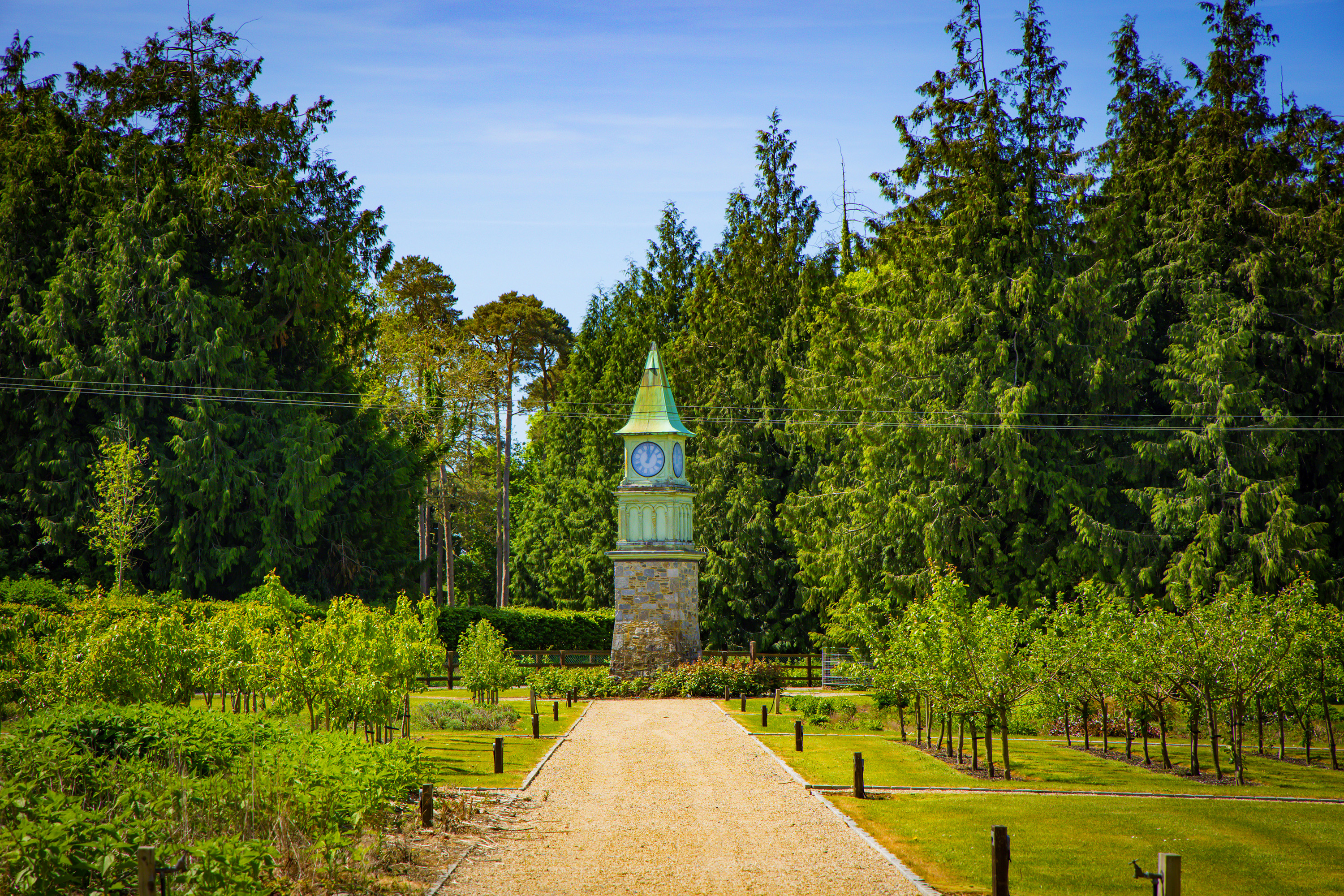Village at Lyons