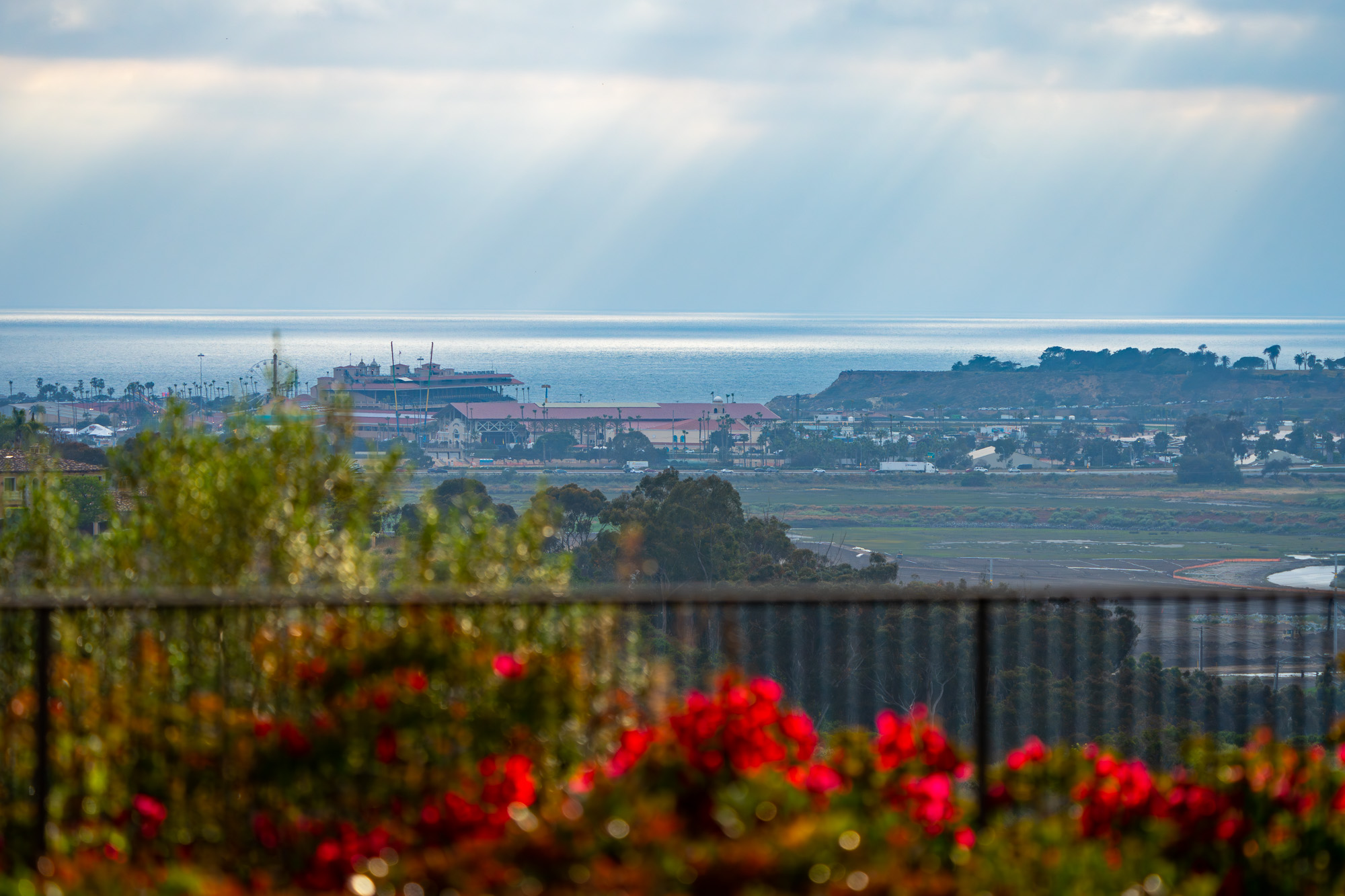 4954 Rancho Del Mar Trail 