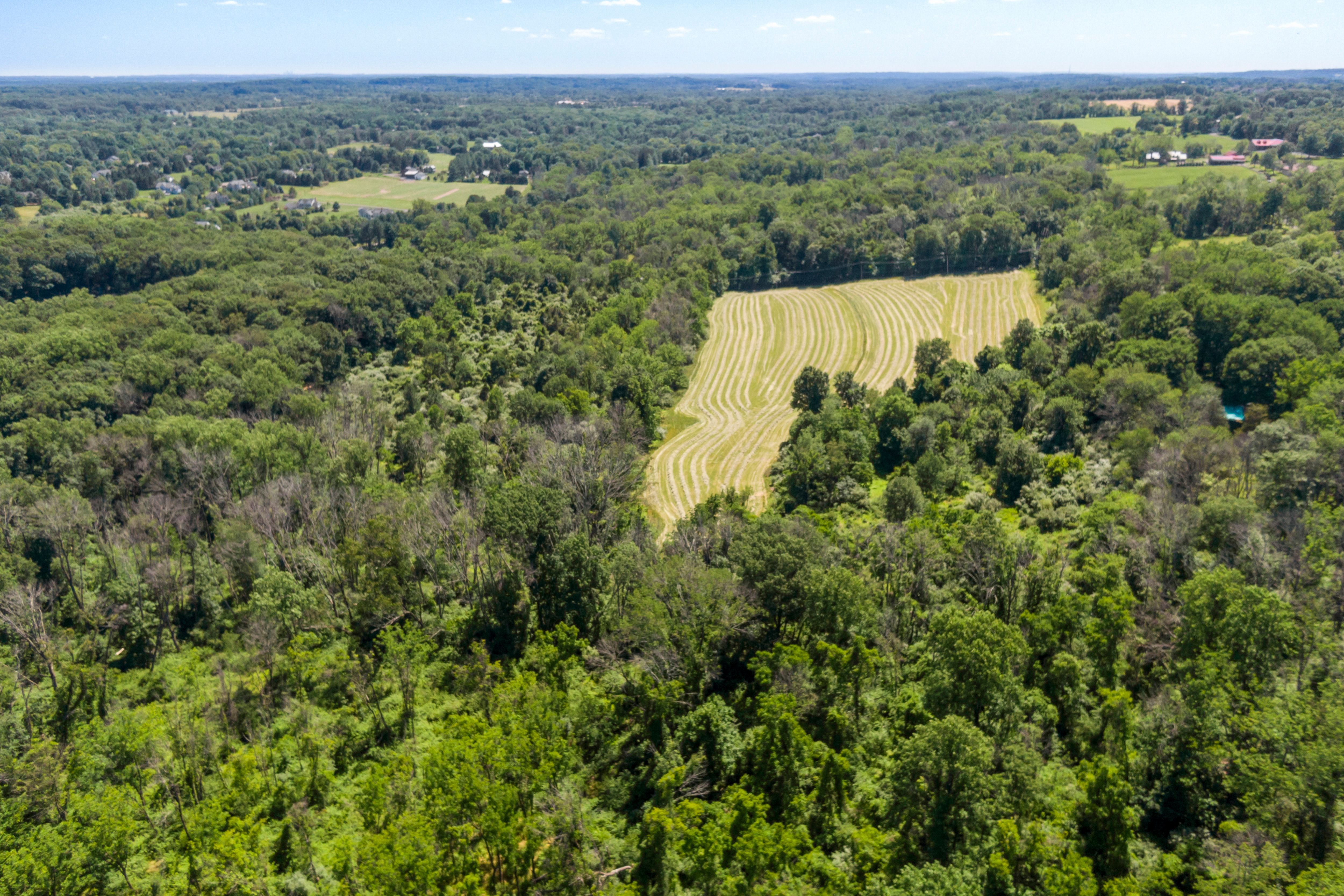 0 McNeil Road 