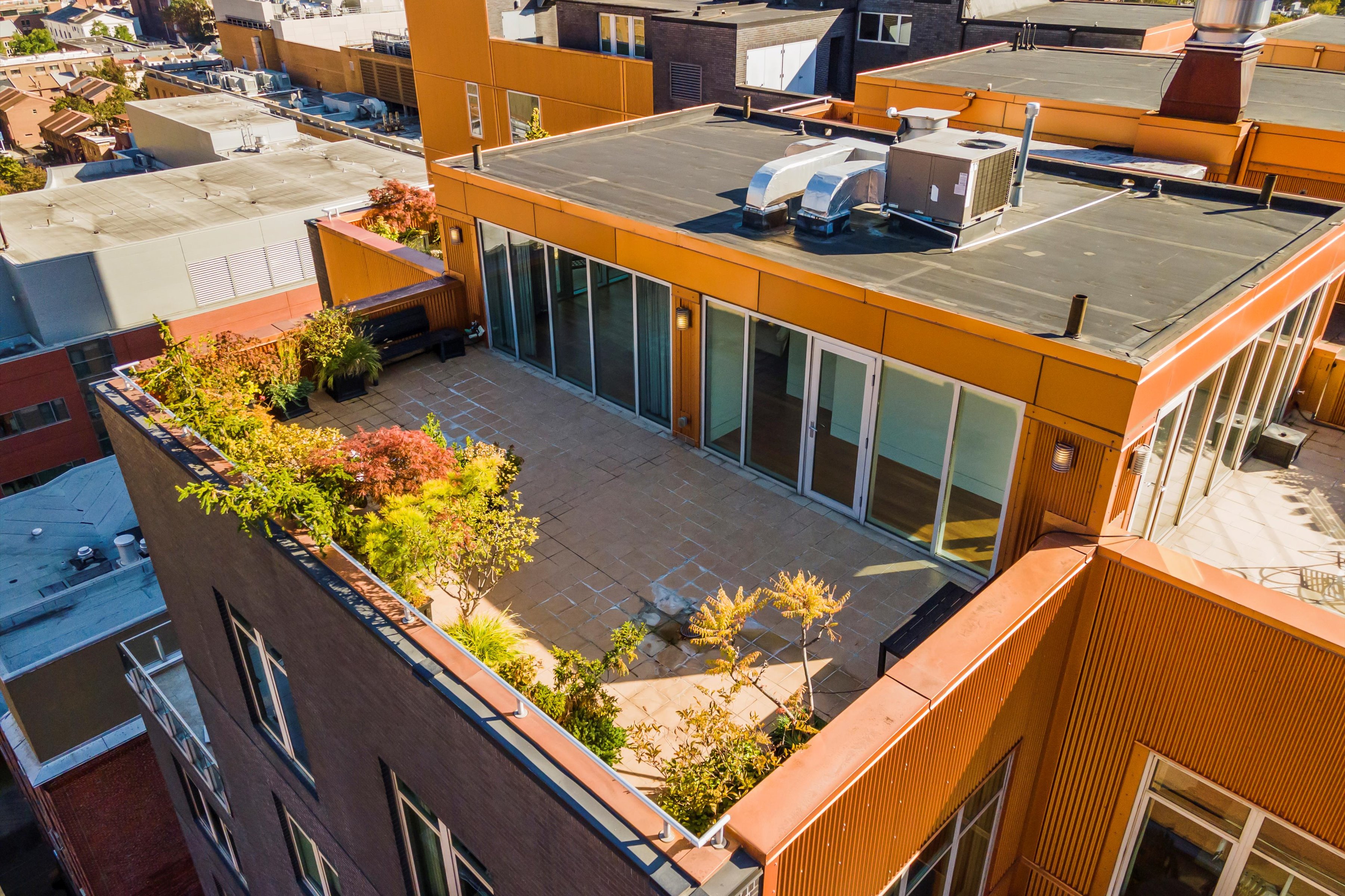 1101 Locust Street Penthouse 11E