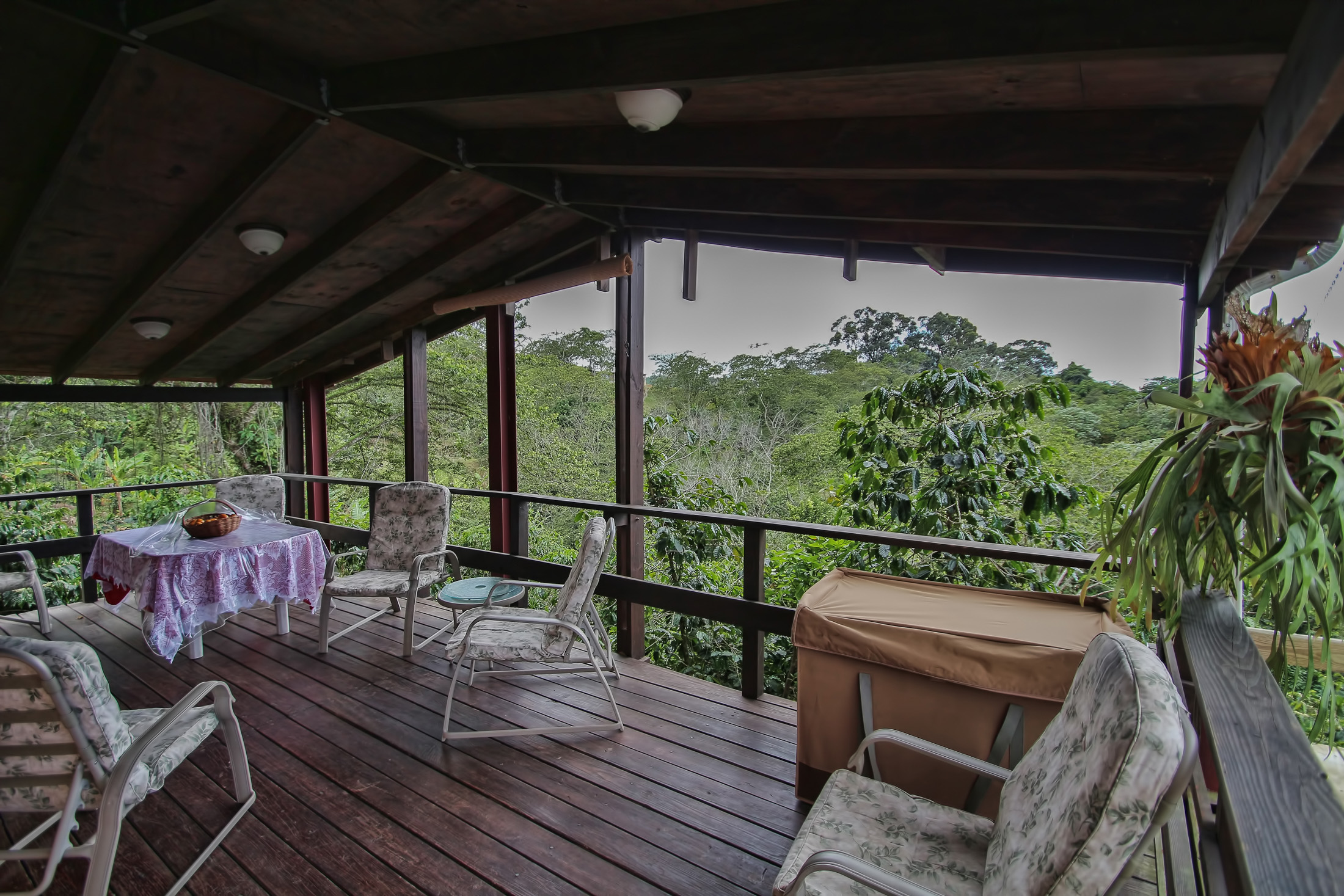 Adjuntas