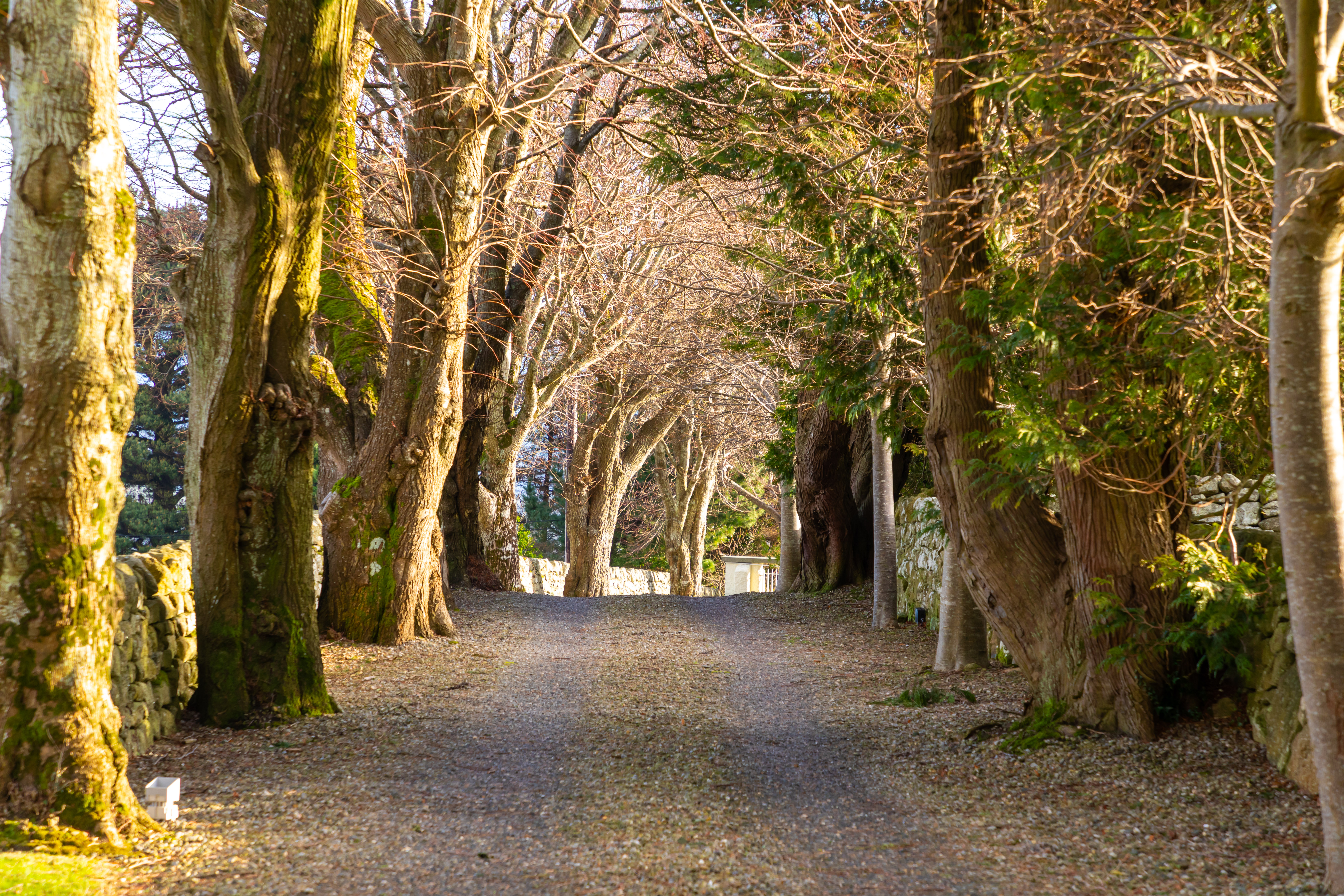 Ballybetagh House Ballybetagh Road