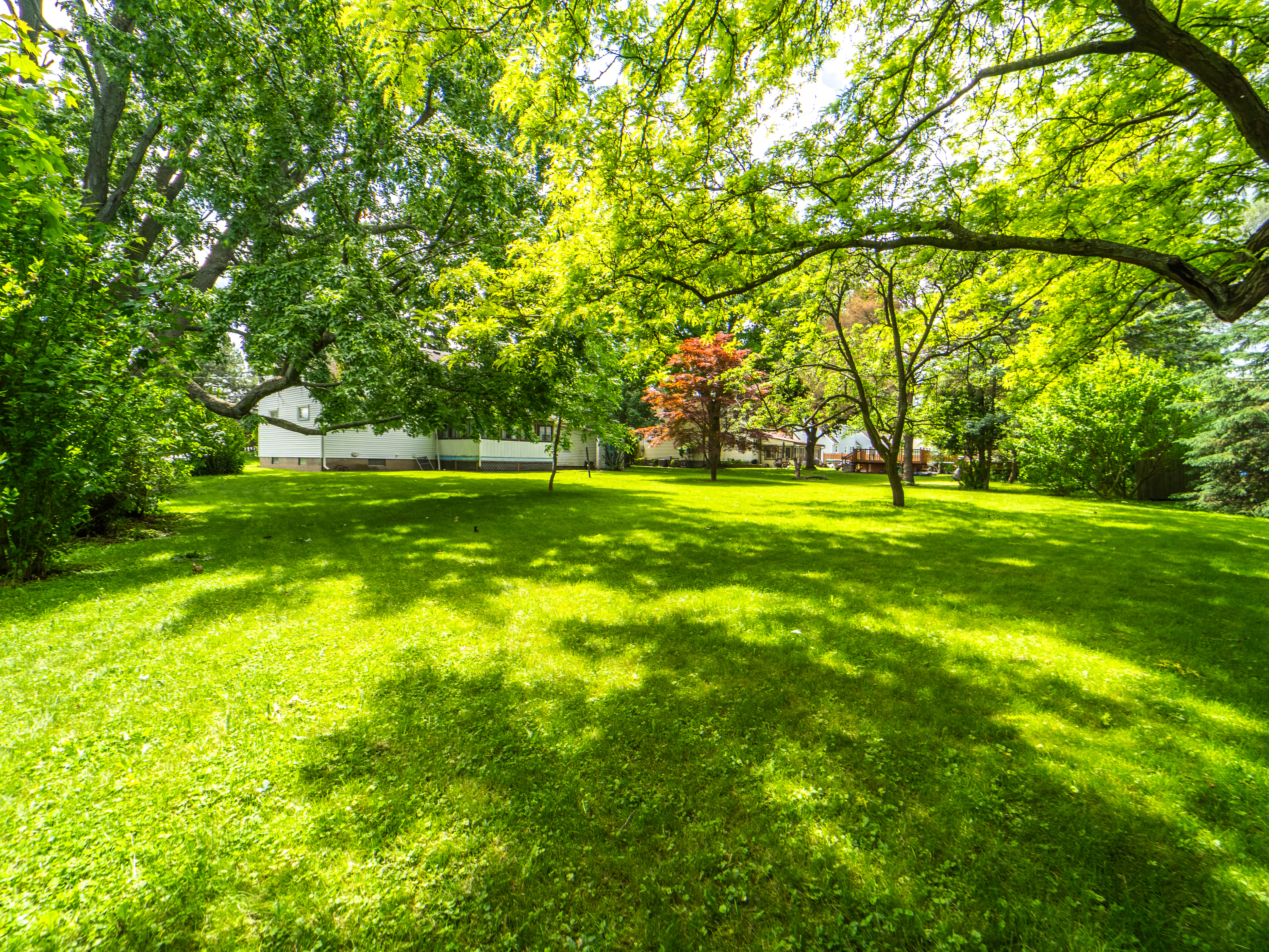 66 Terrel Drive 