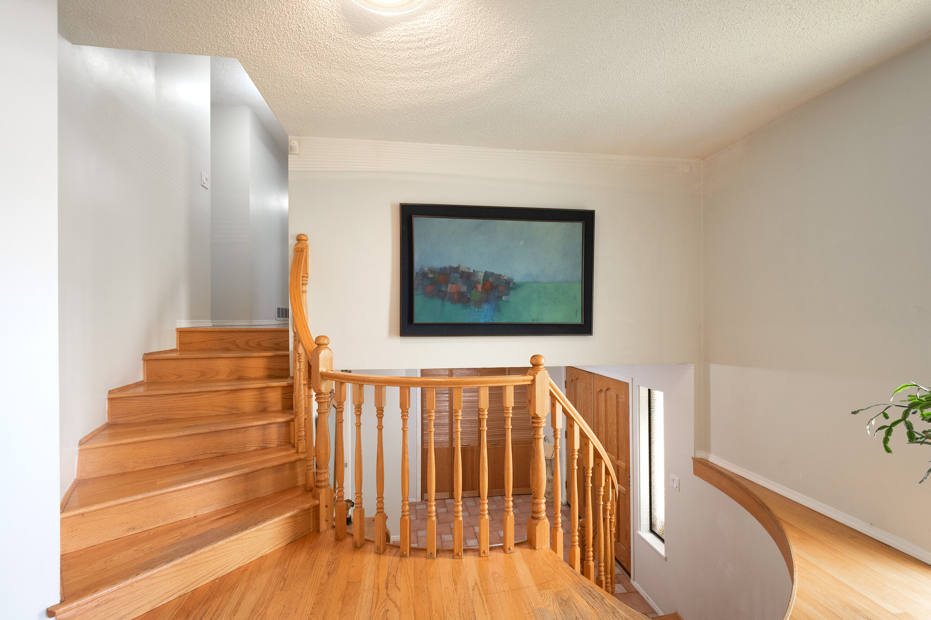 7449 Dorchester Drive