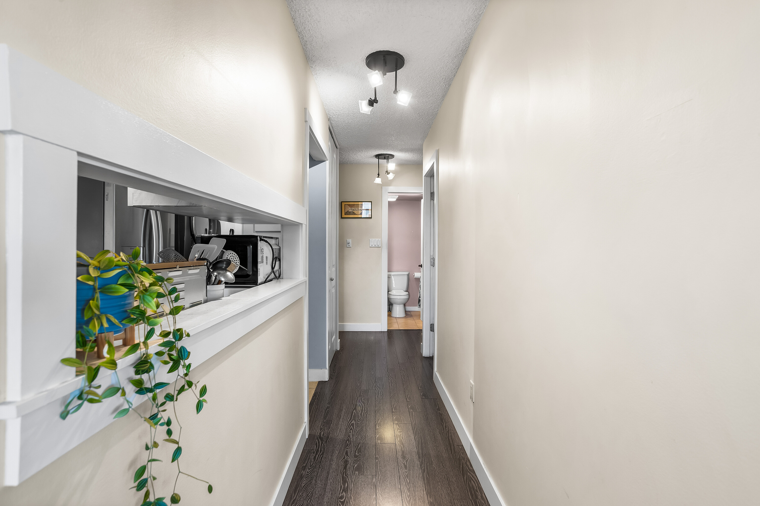 209 Carnarvon Street  202
