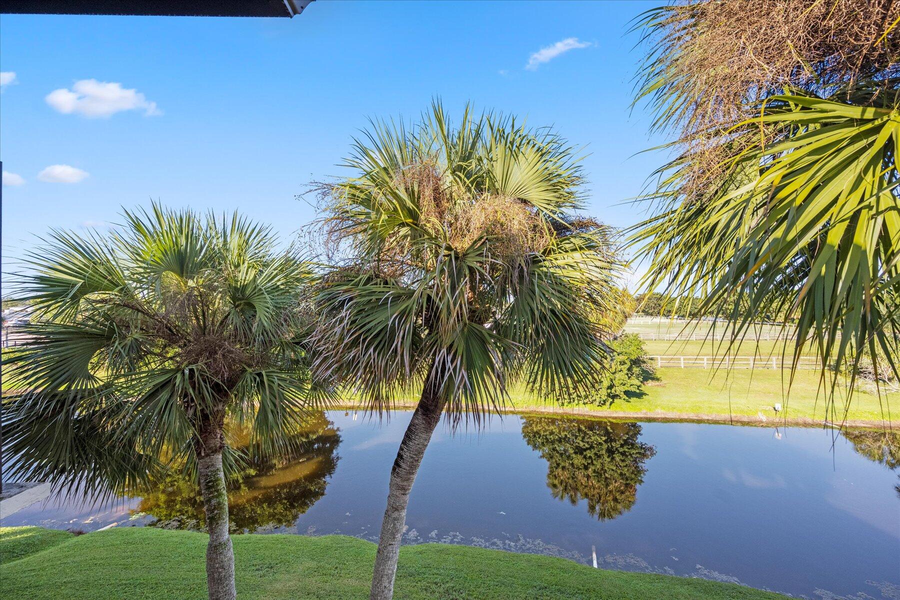 2785 Polo Island Drive J301