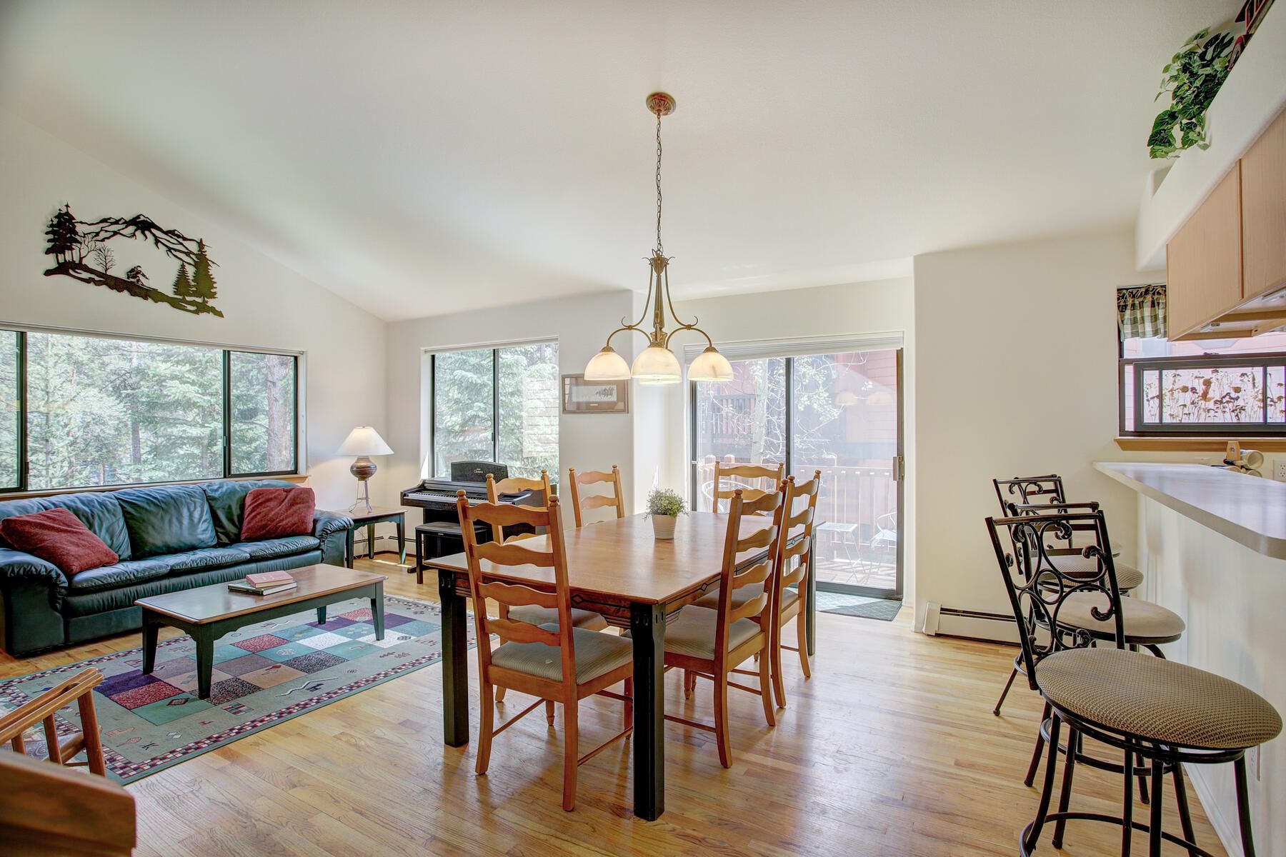 511 Park Forest Drive 