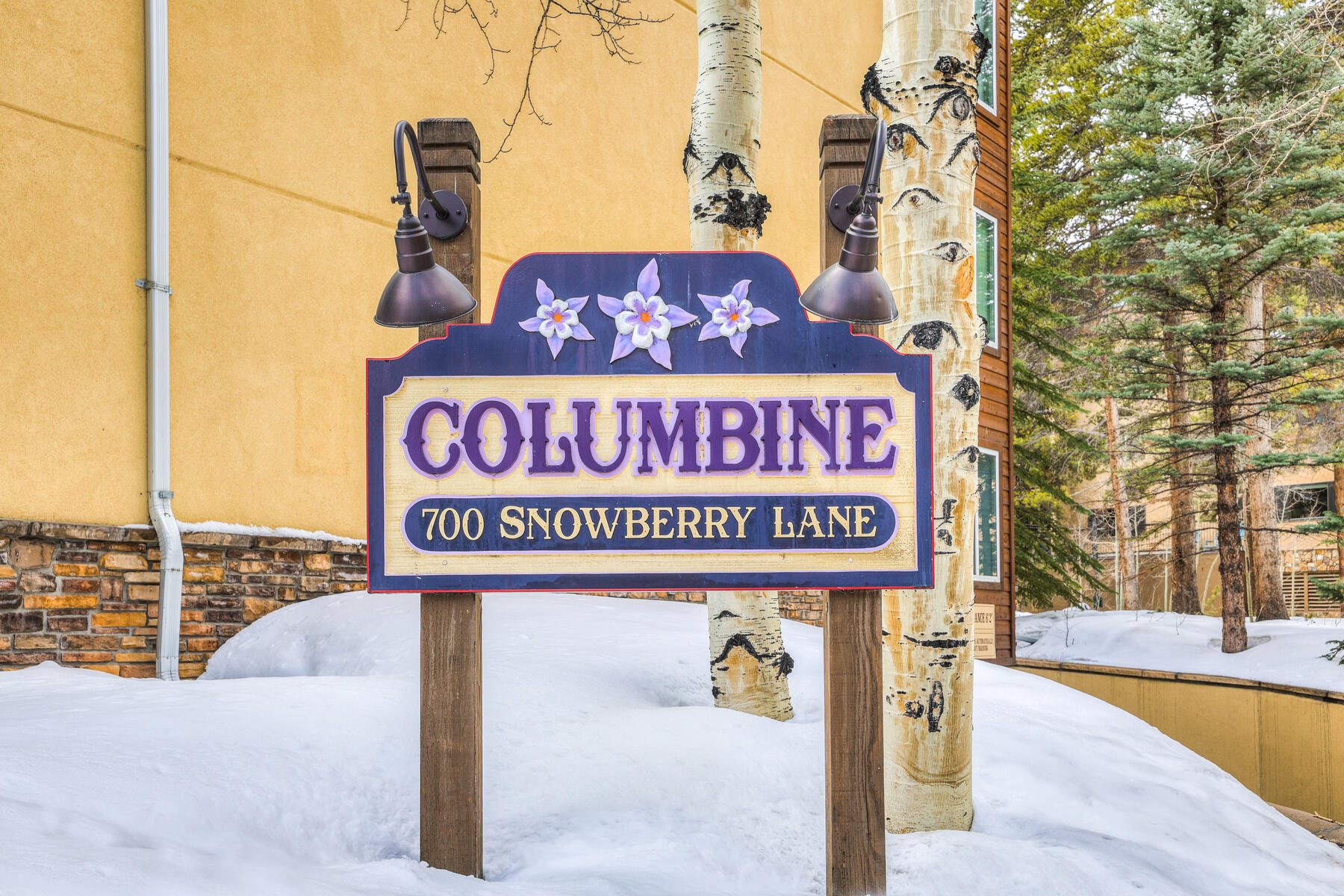 700 Snowberry Lane Unit# 103