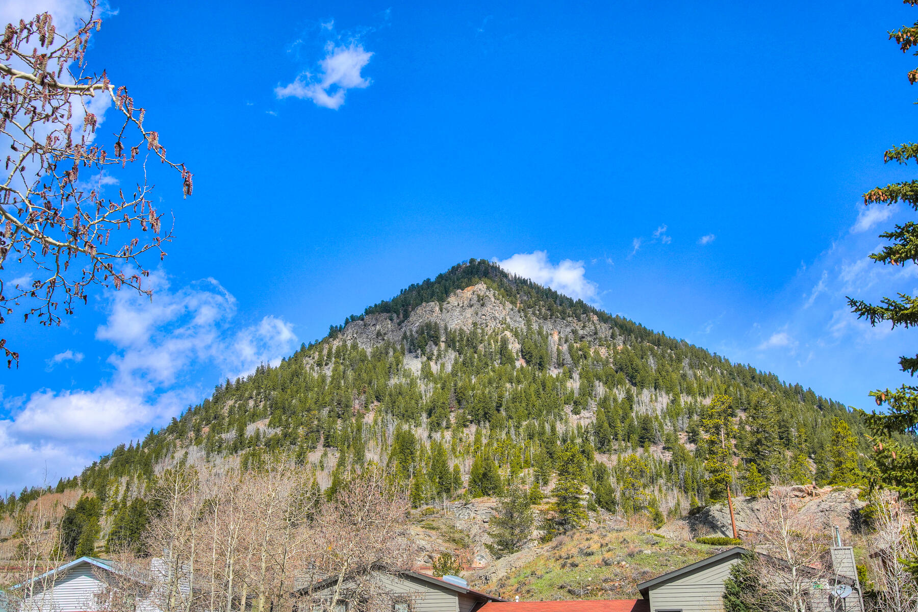 121 Forest Drive Unit# C