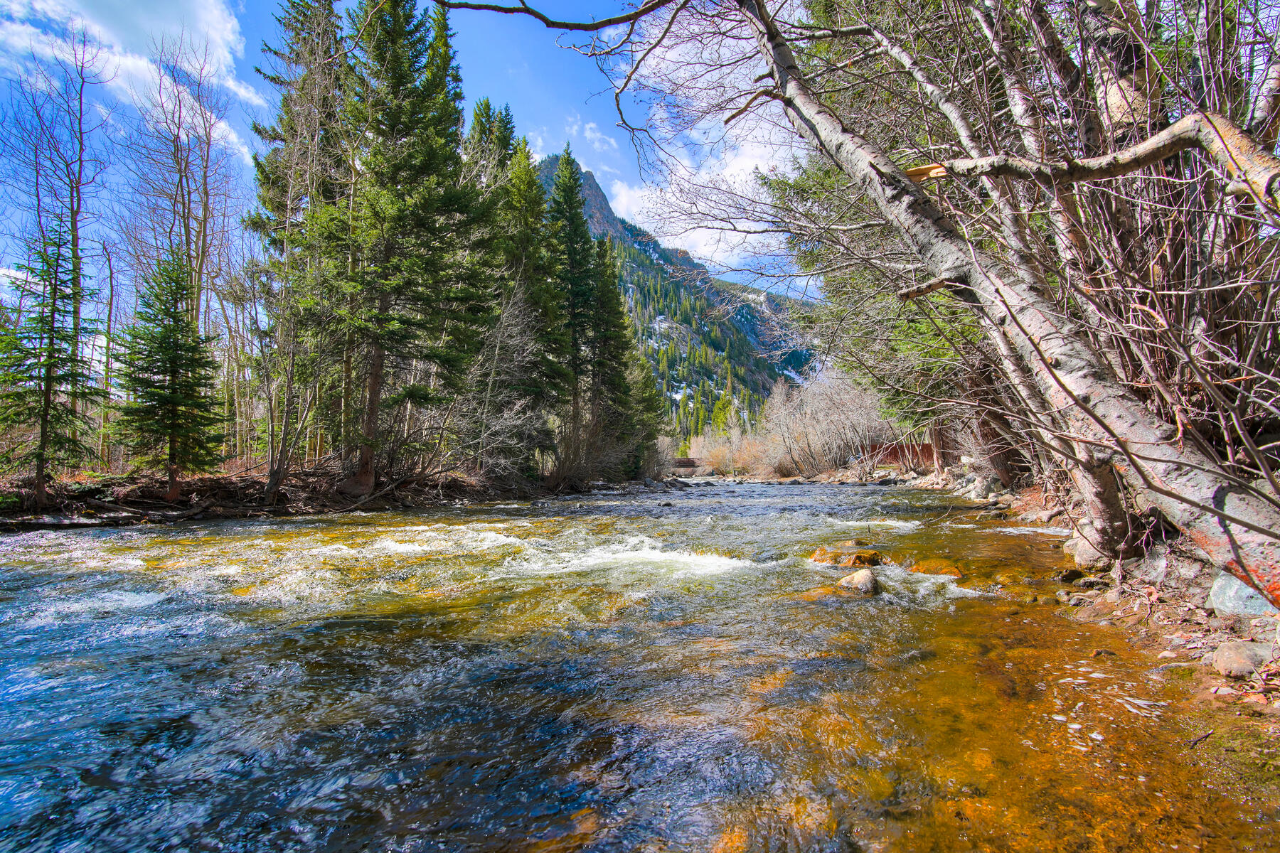 121 Forest Drive Unit# C