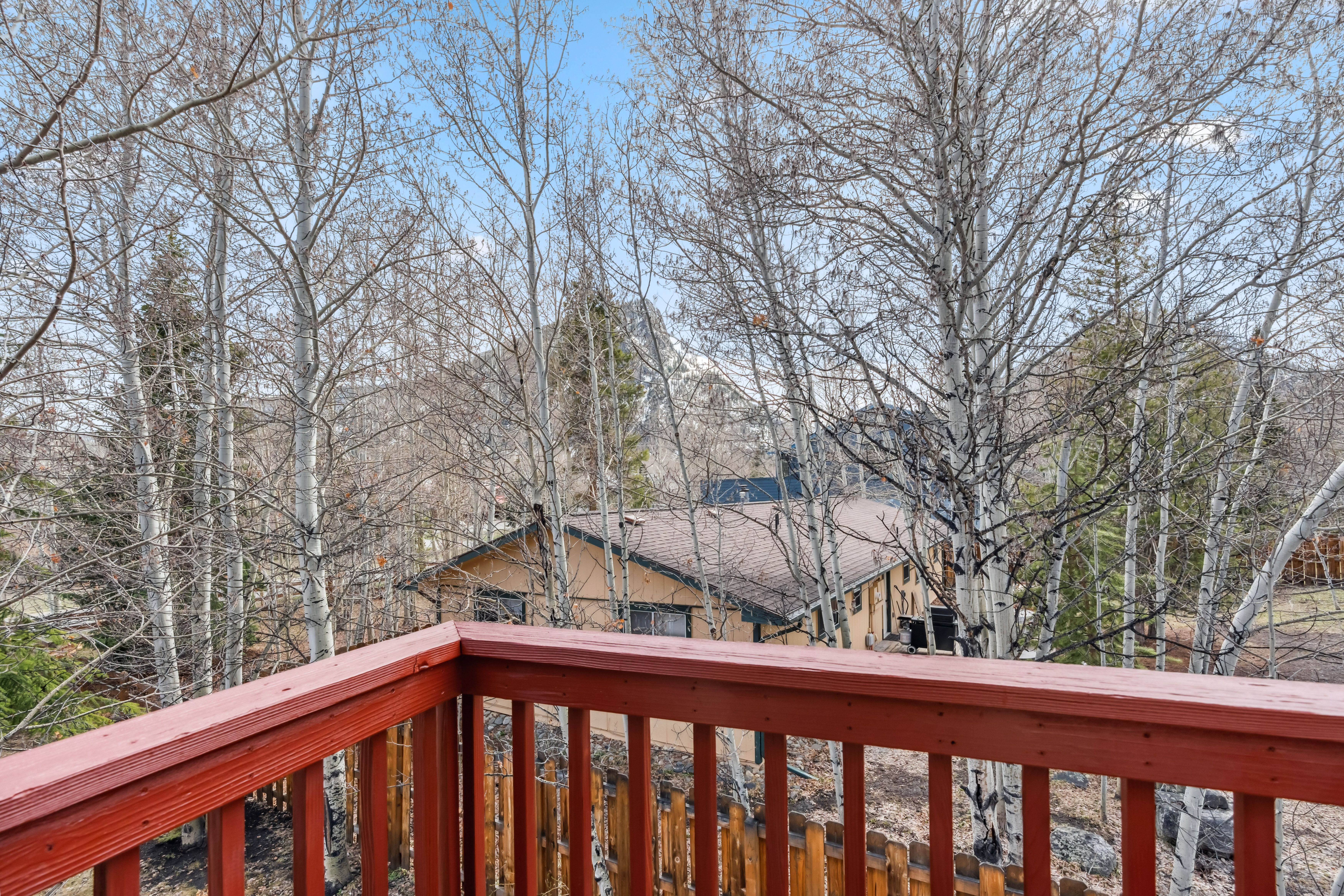 209 Miners Creek Road 