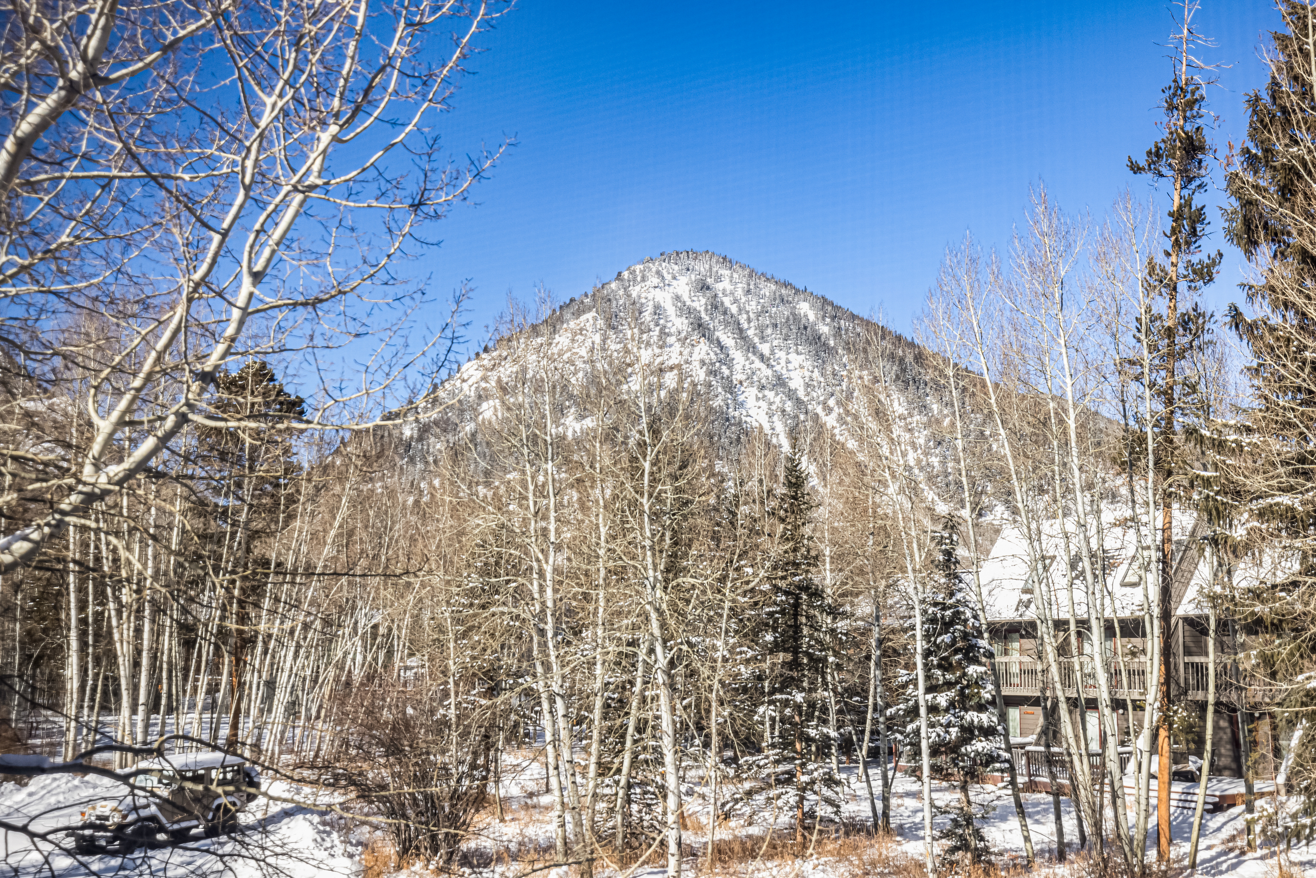 224 Creekside Drive Unit# C