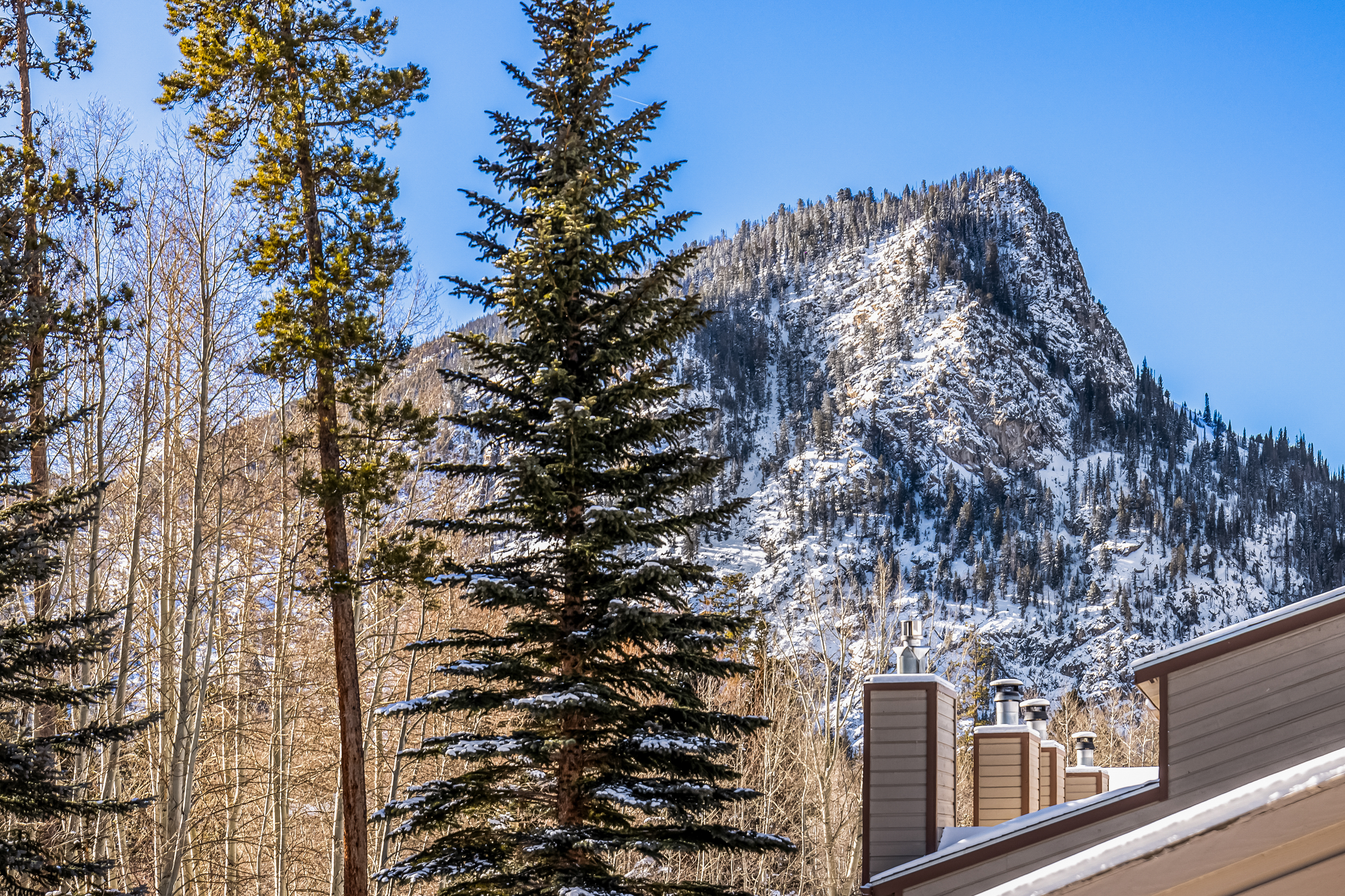 224 Creekside Drive Unit# C