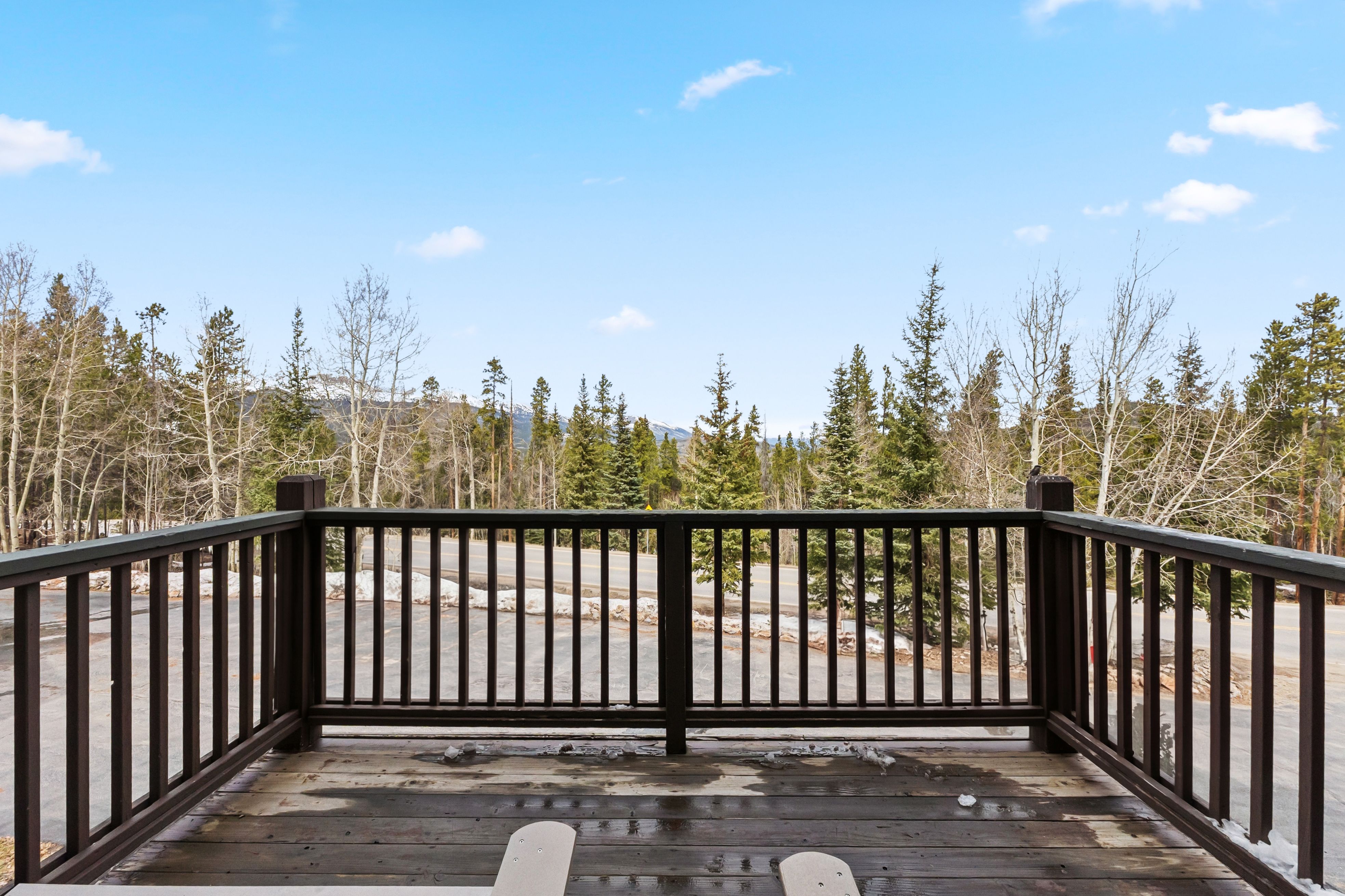 1692 Boreas Pass Road Unit# D