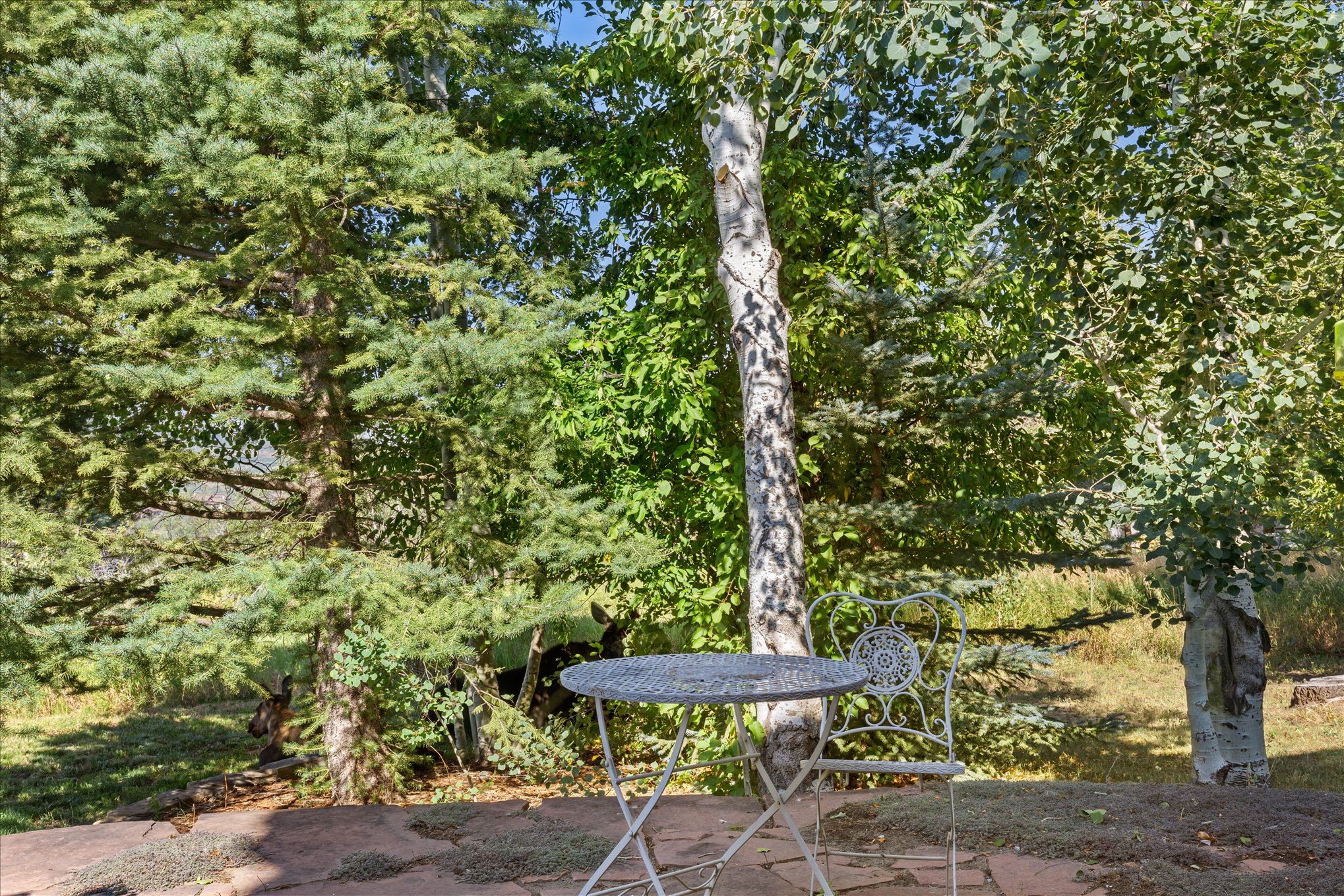 345 Steamboat Boulevard 