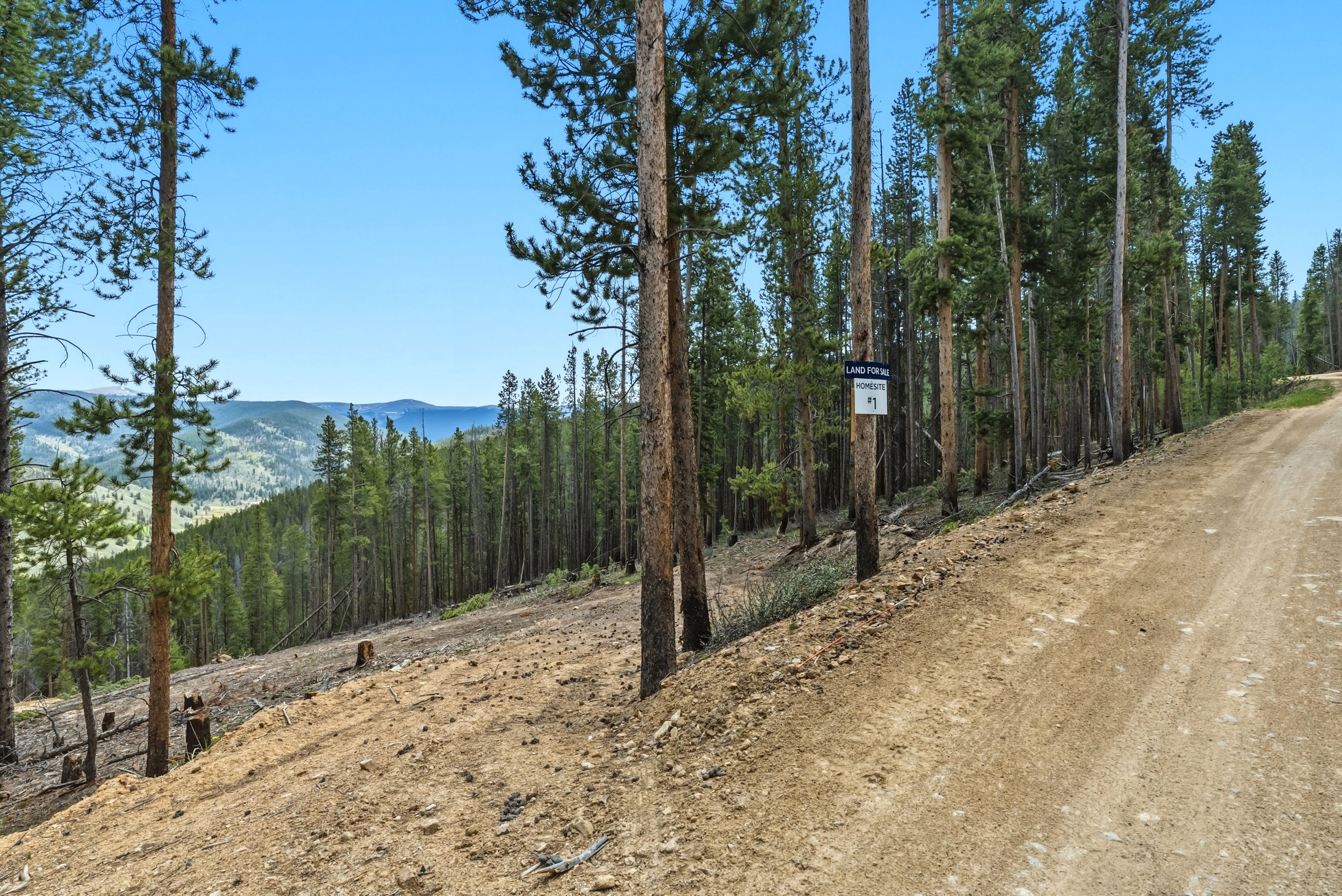 653 Summit Gulch Road 