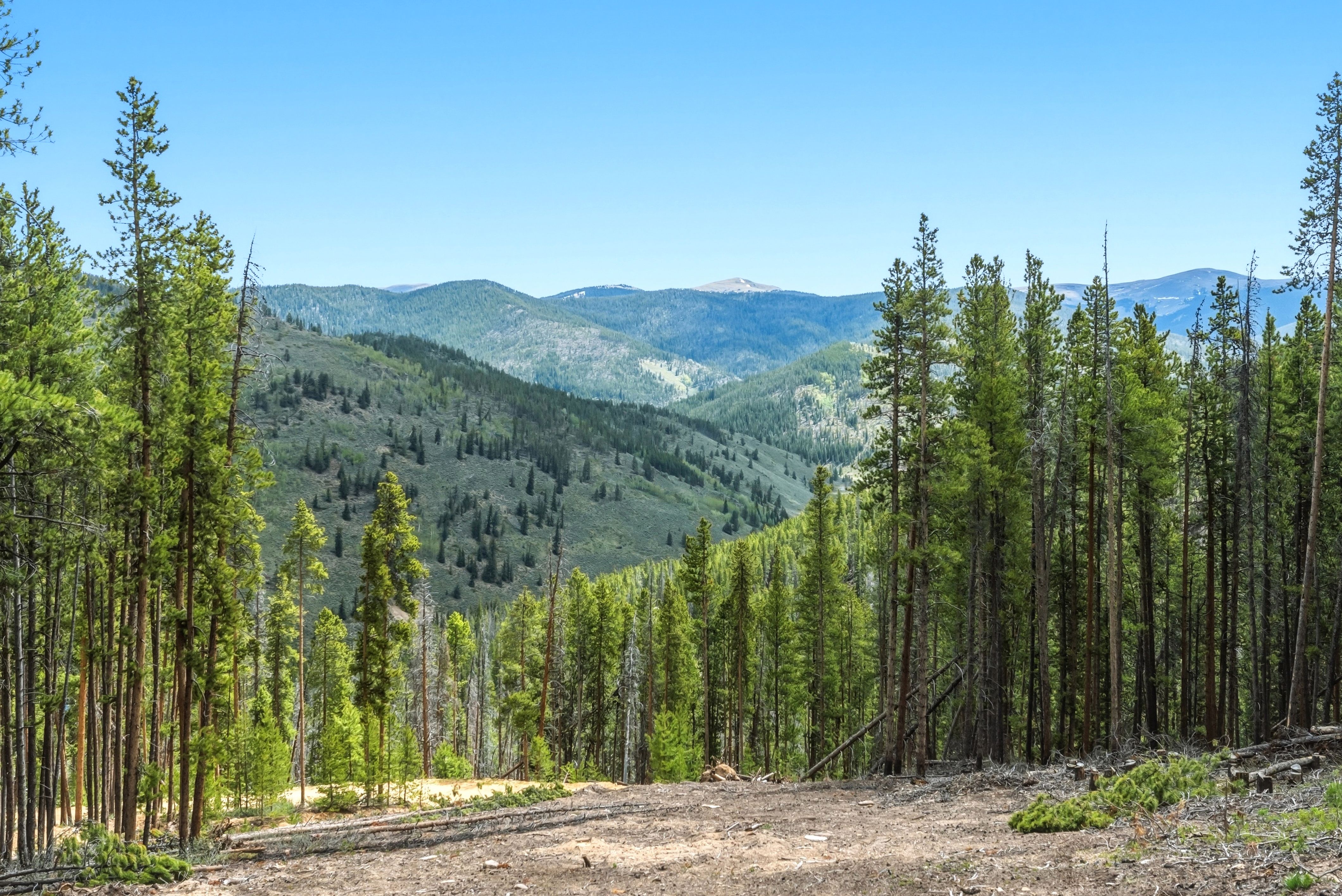653 Summit Gulch Road 