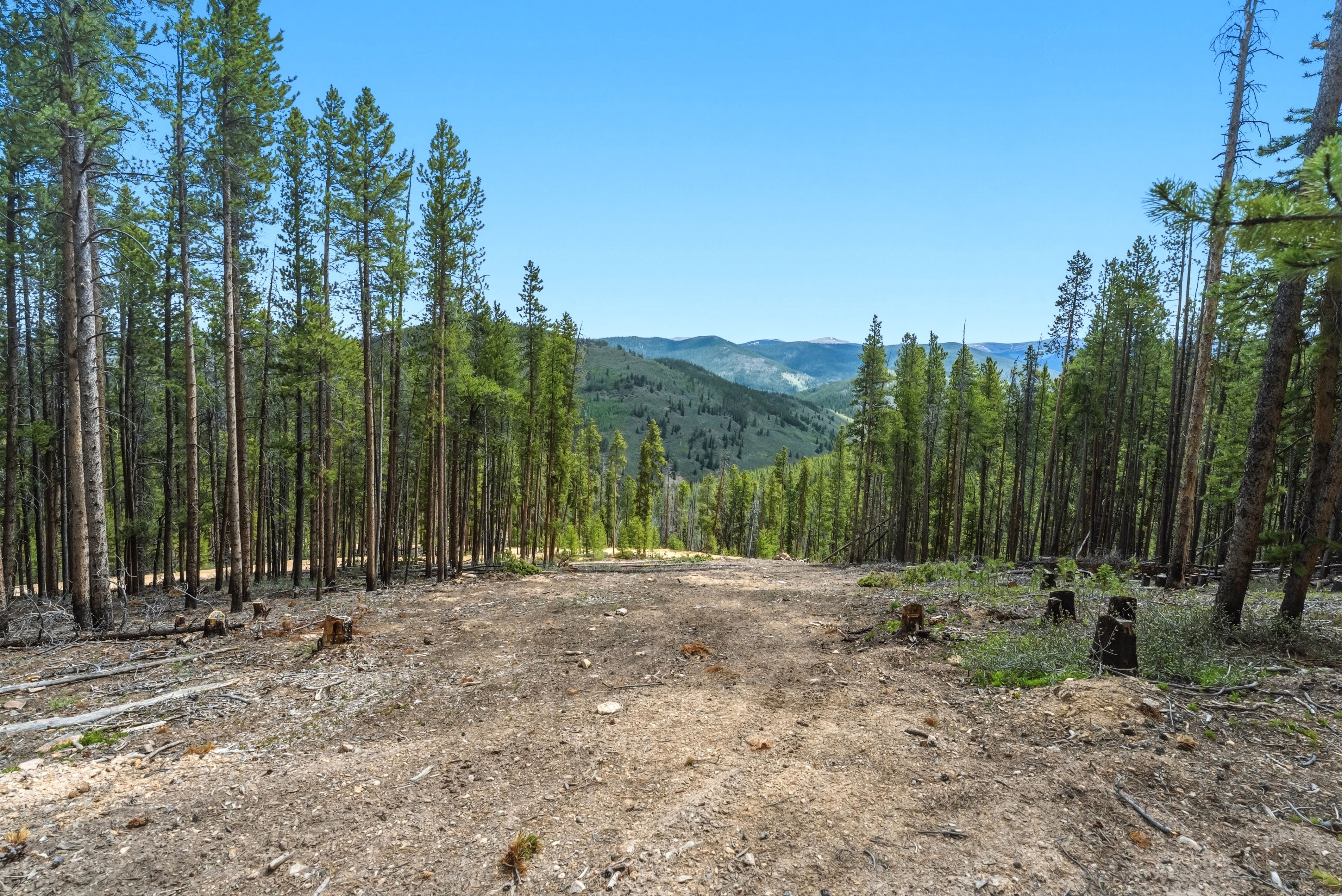 653 Summit Gulch Road 