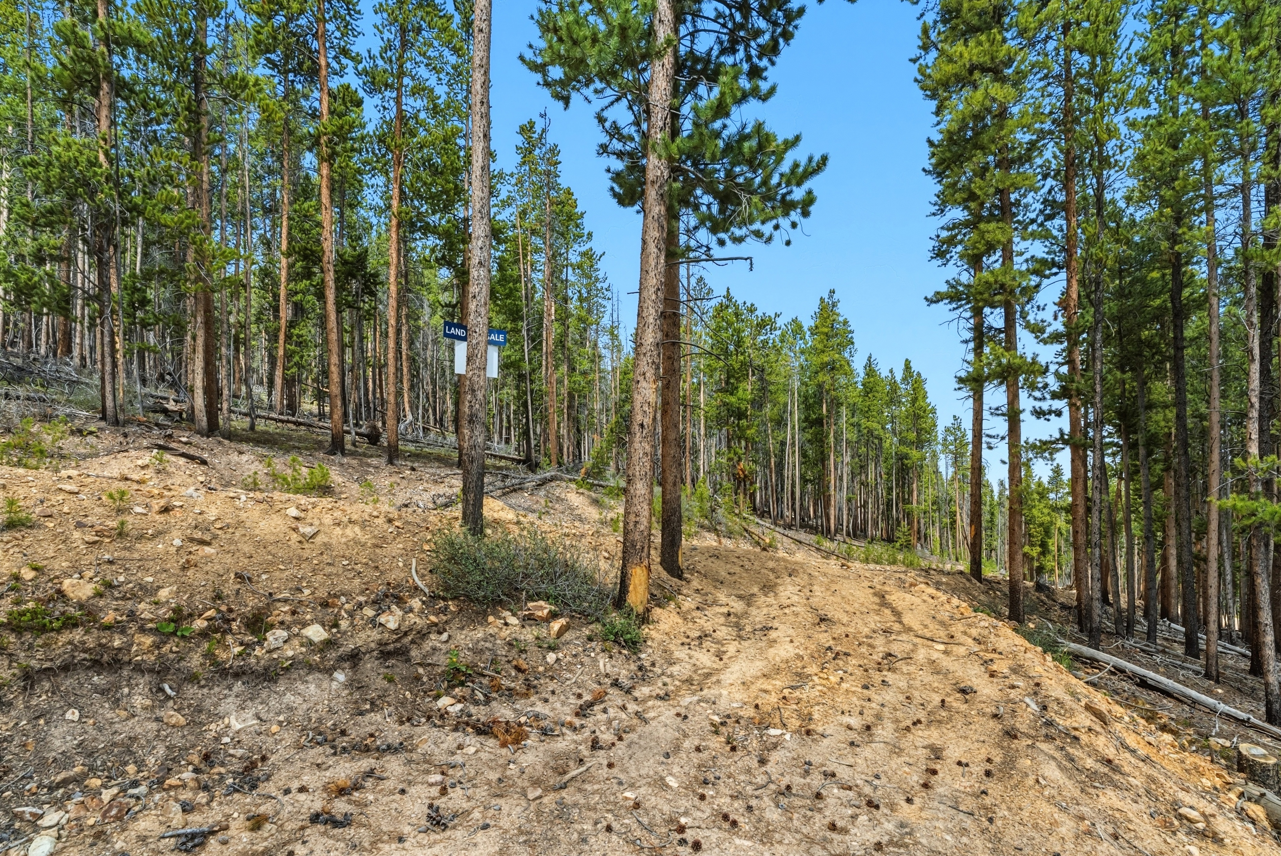 653 Summit Gulch Road 