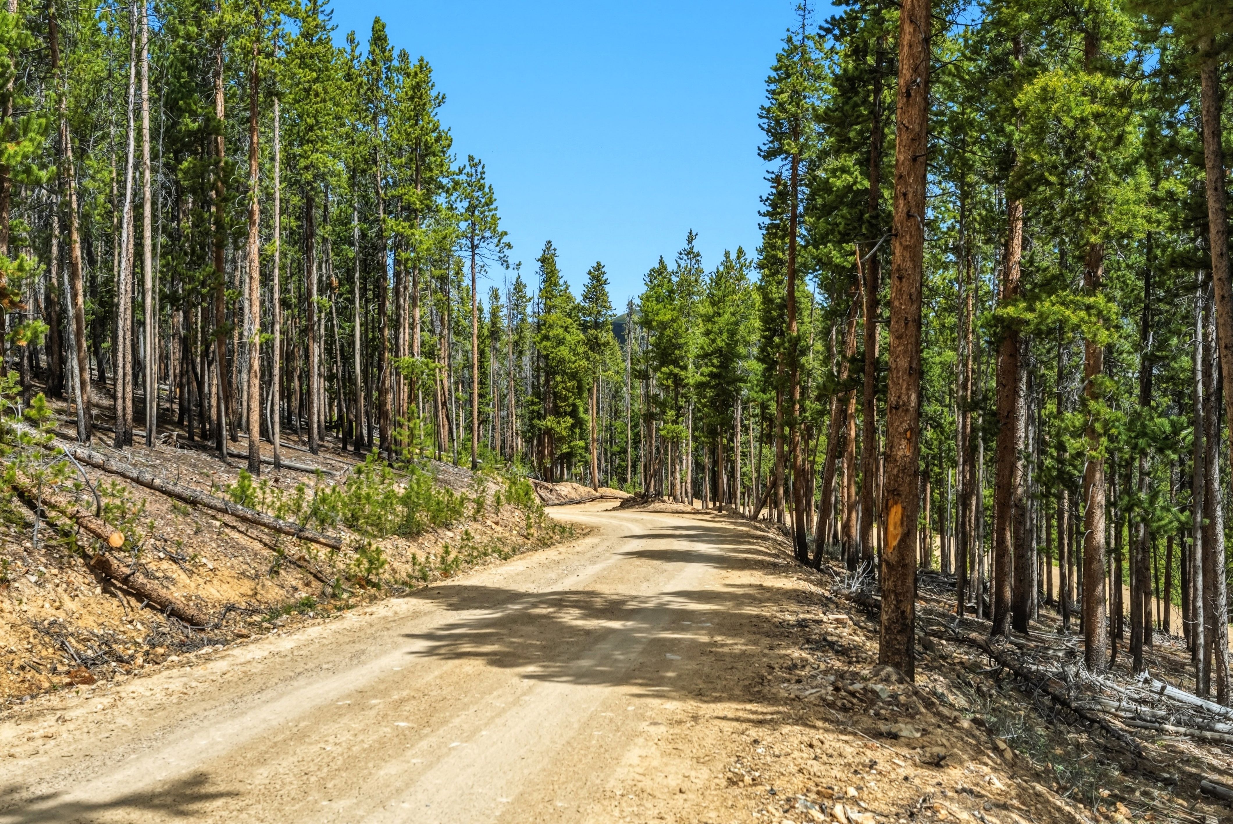 653 Summit Gulch Road 
